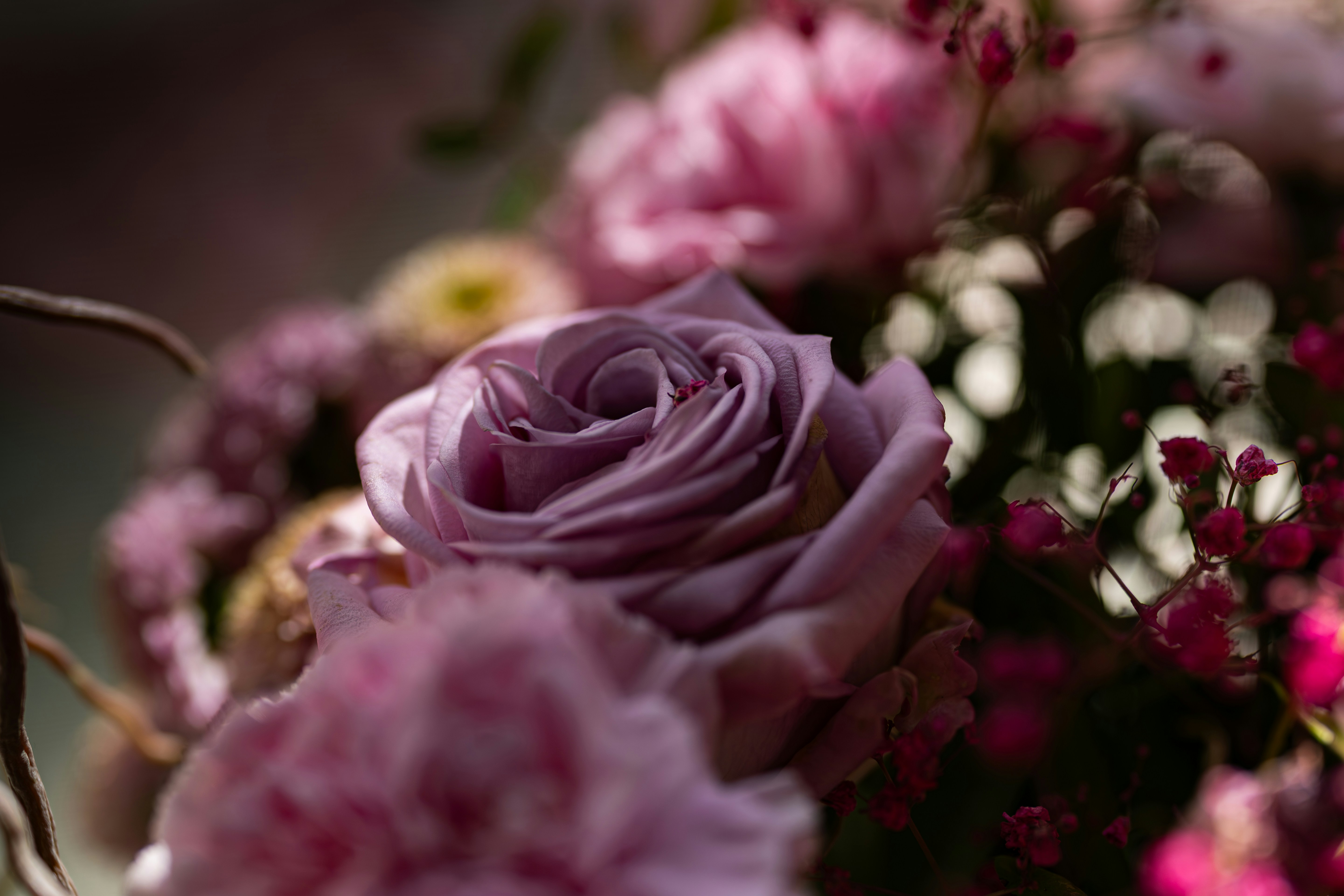 Photo by ingere