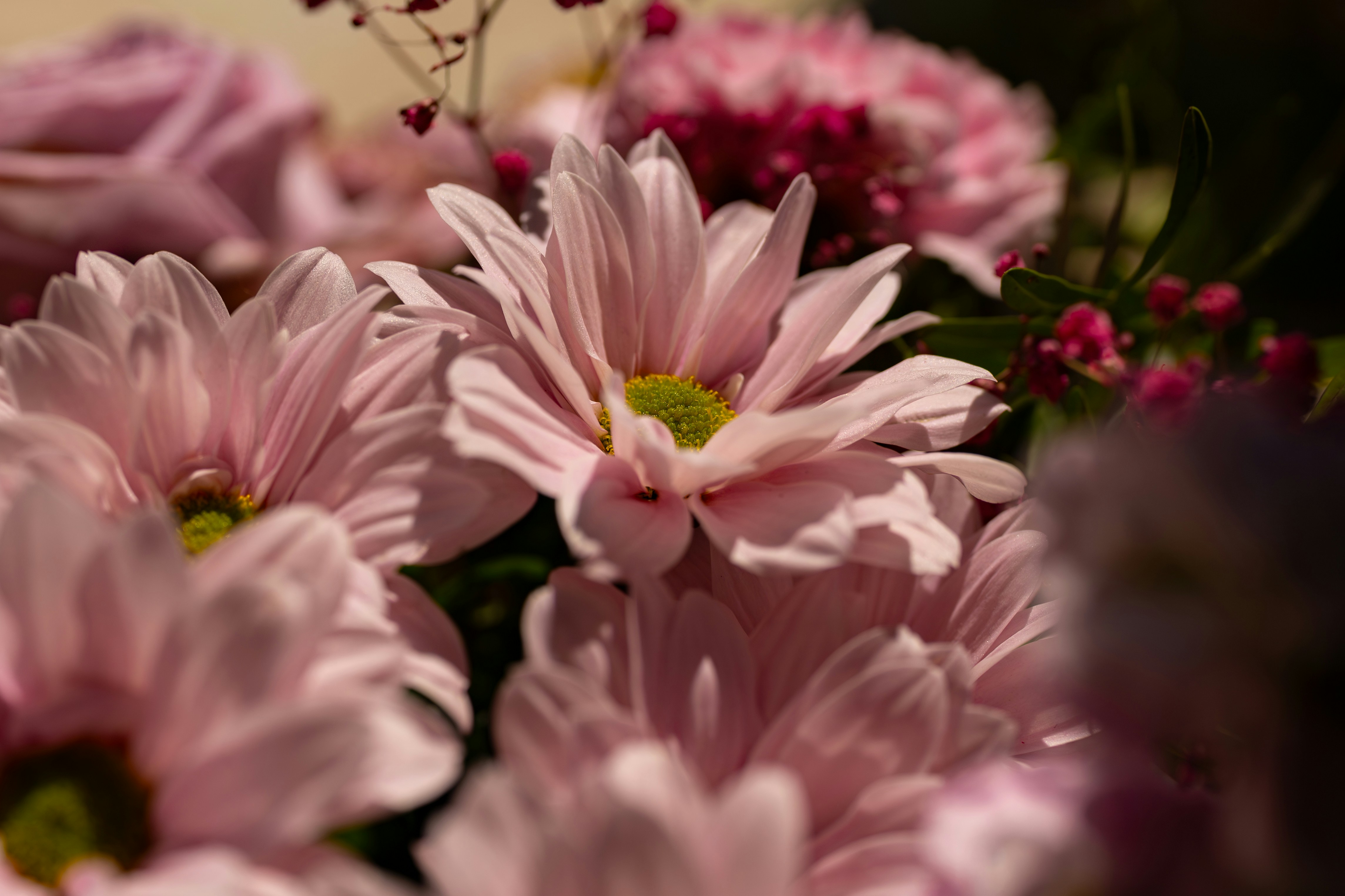 Photo by ingere