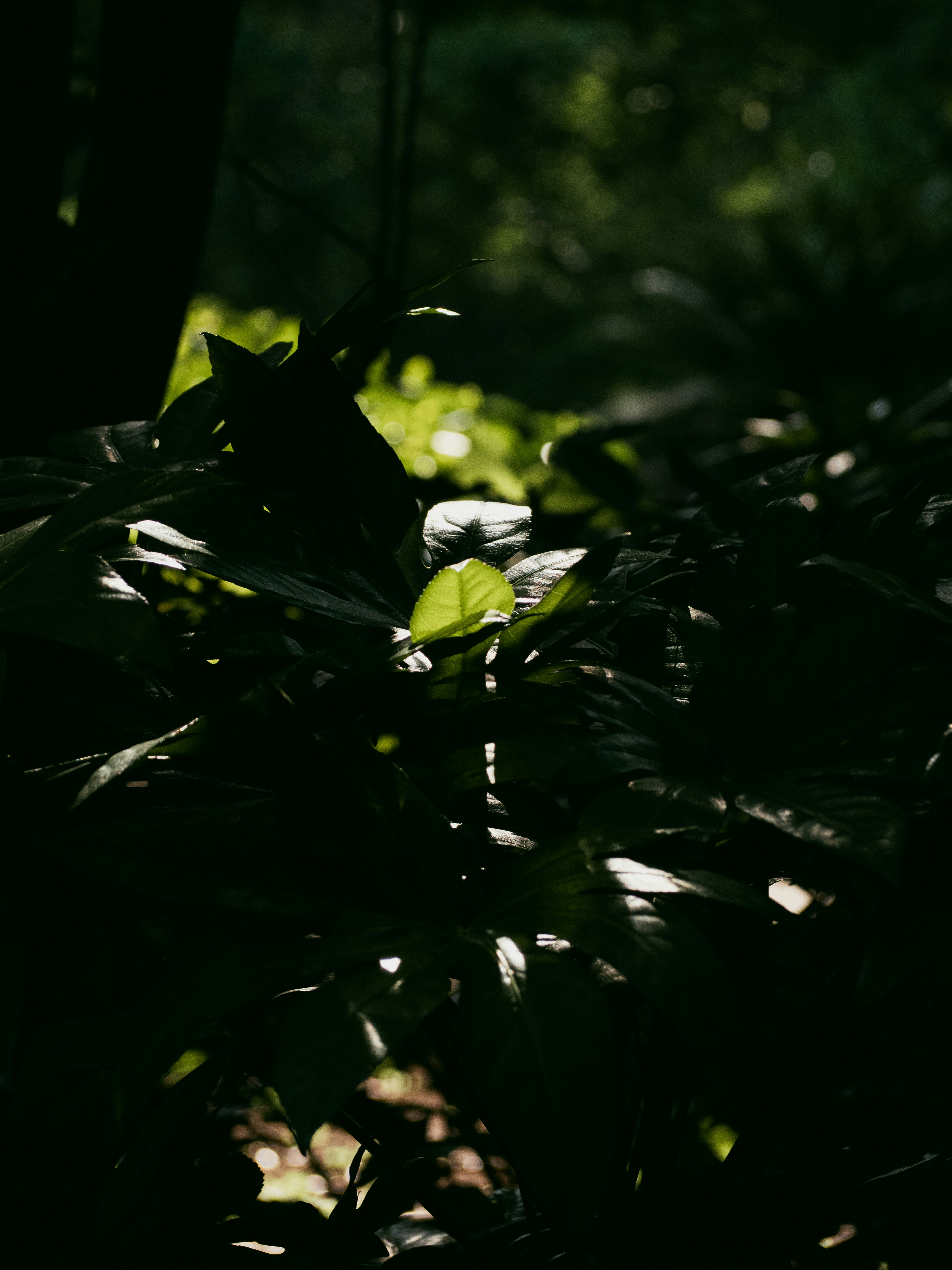 Photo by wenzywong
