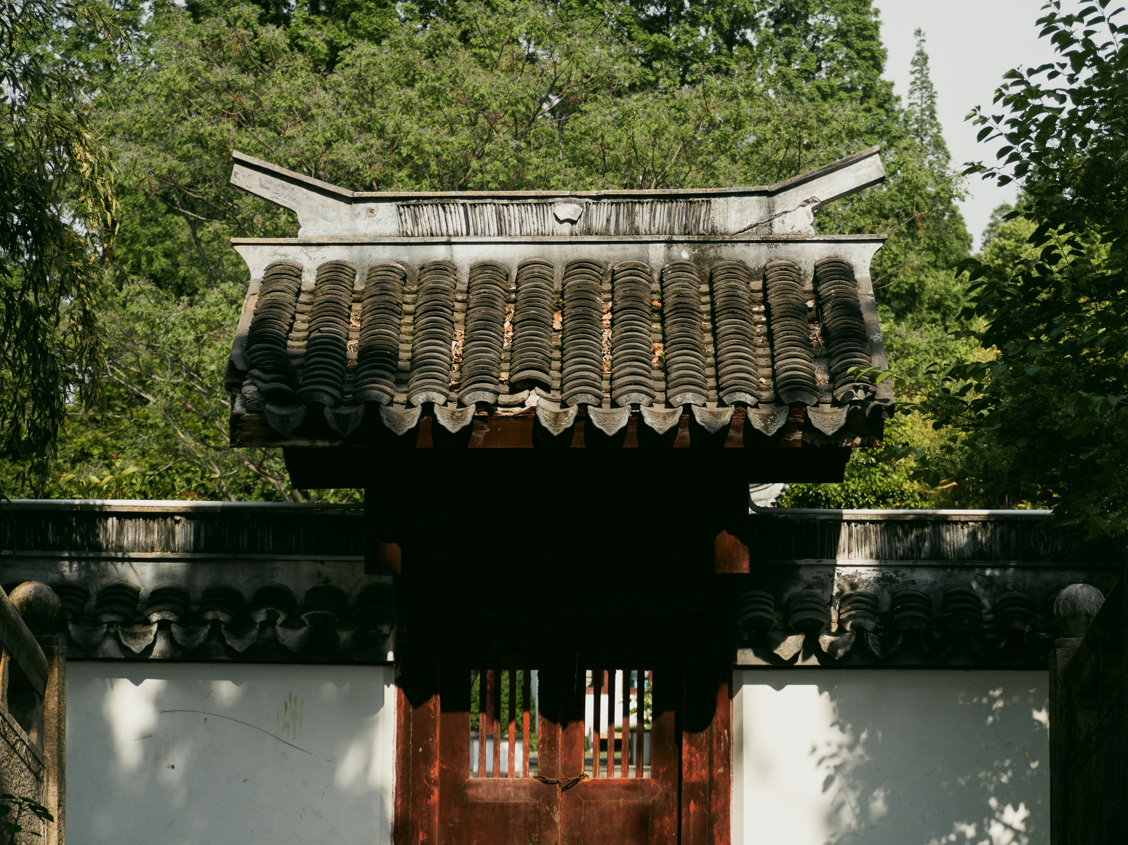 Photo by wenzywong