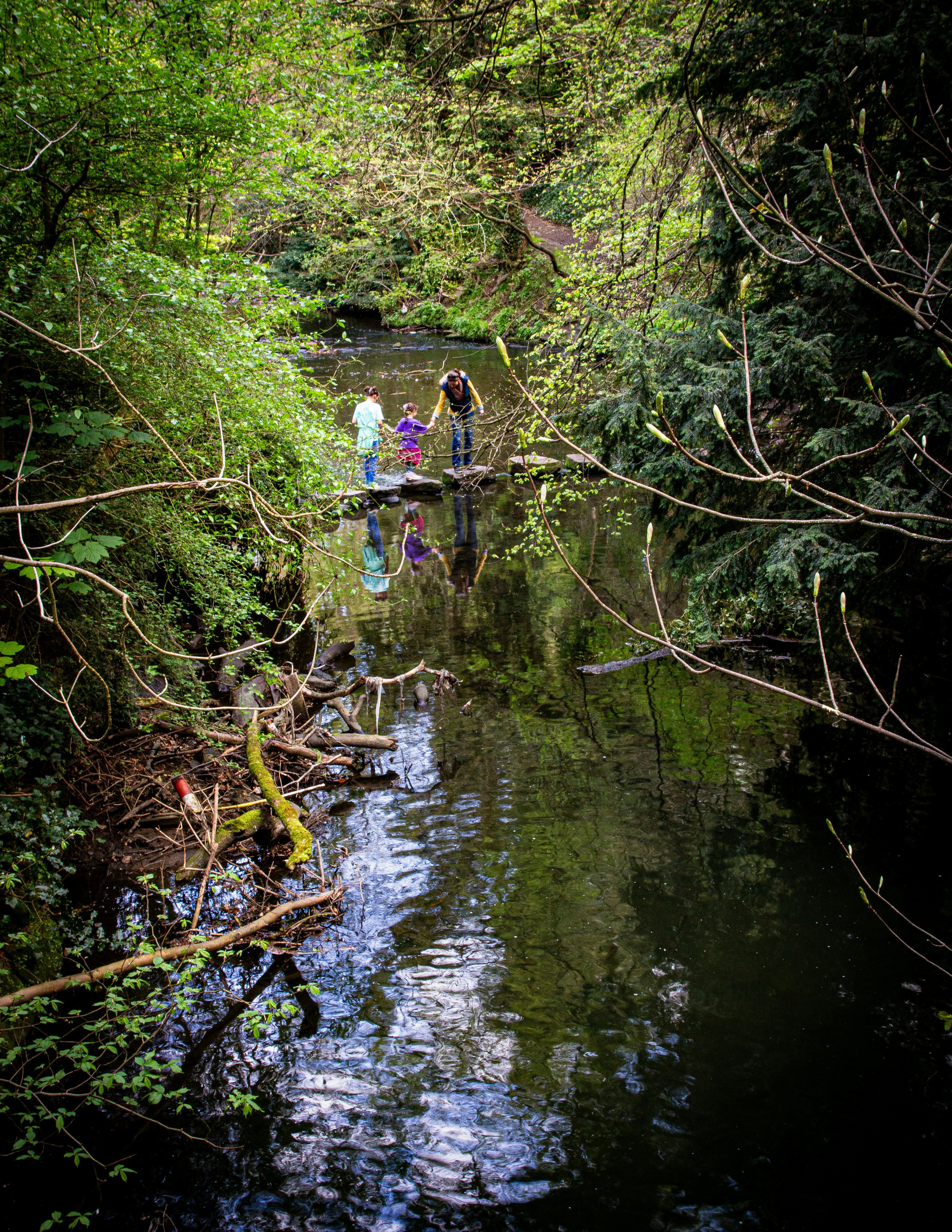 Familia cruzando un arroyo por un puente de troncos