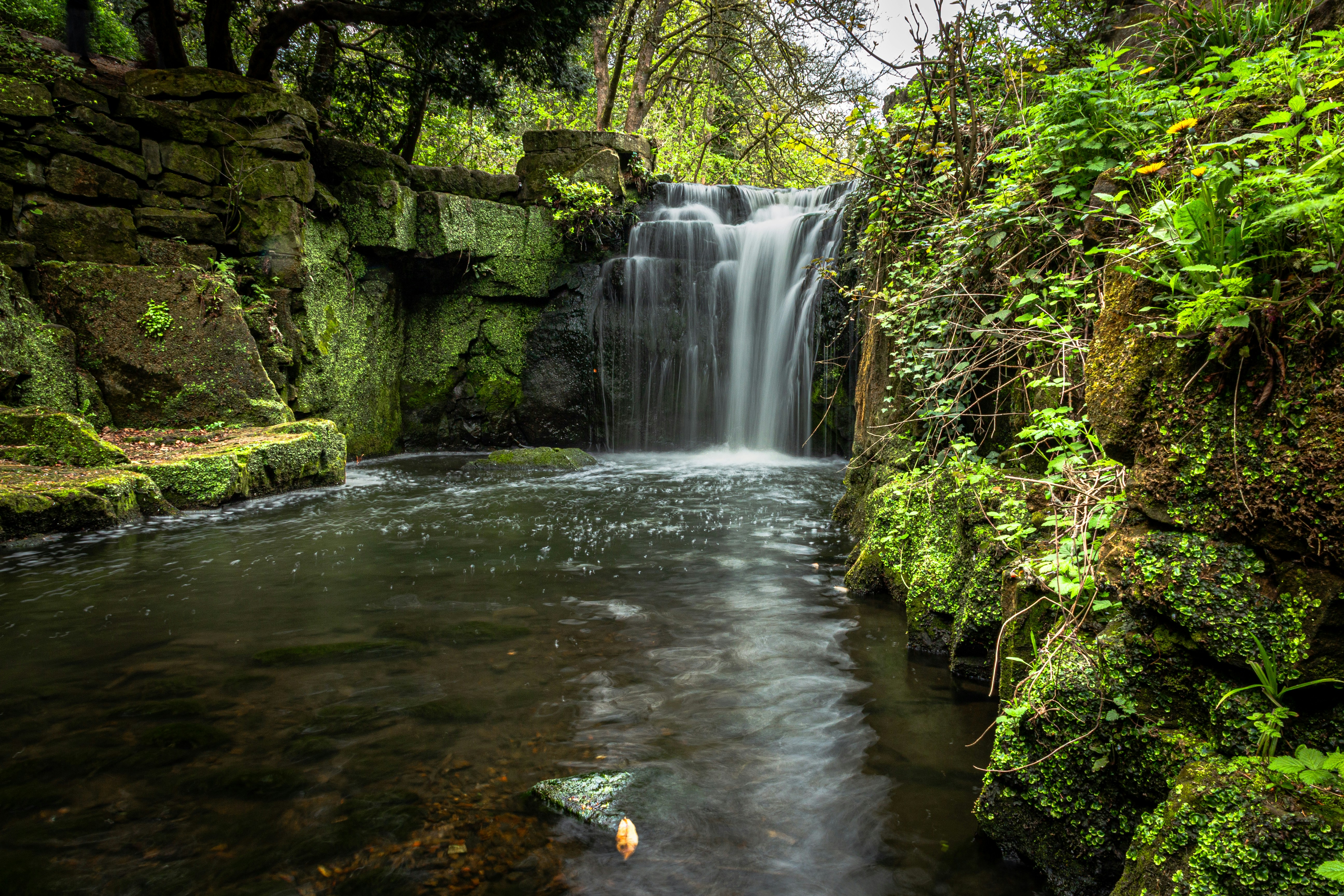 Photo by mlcphotography88
