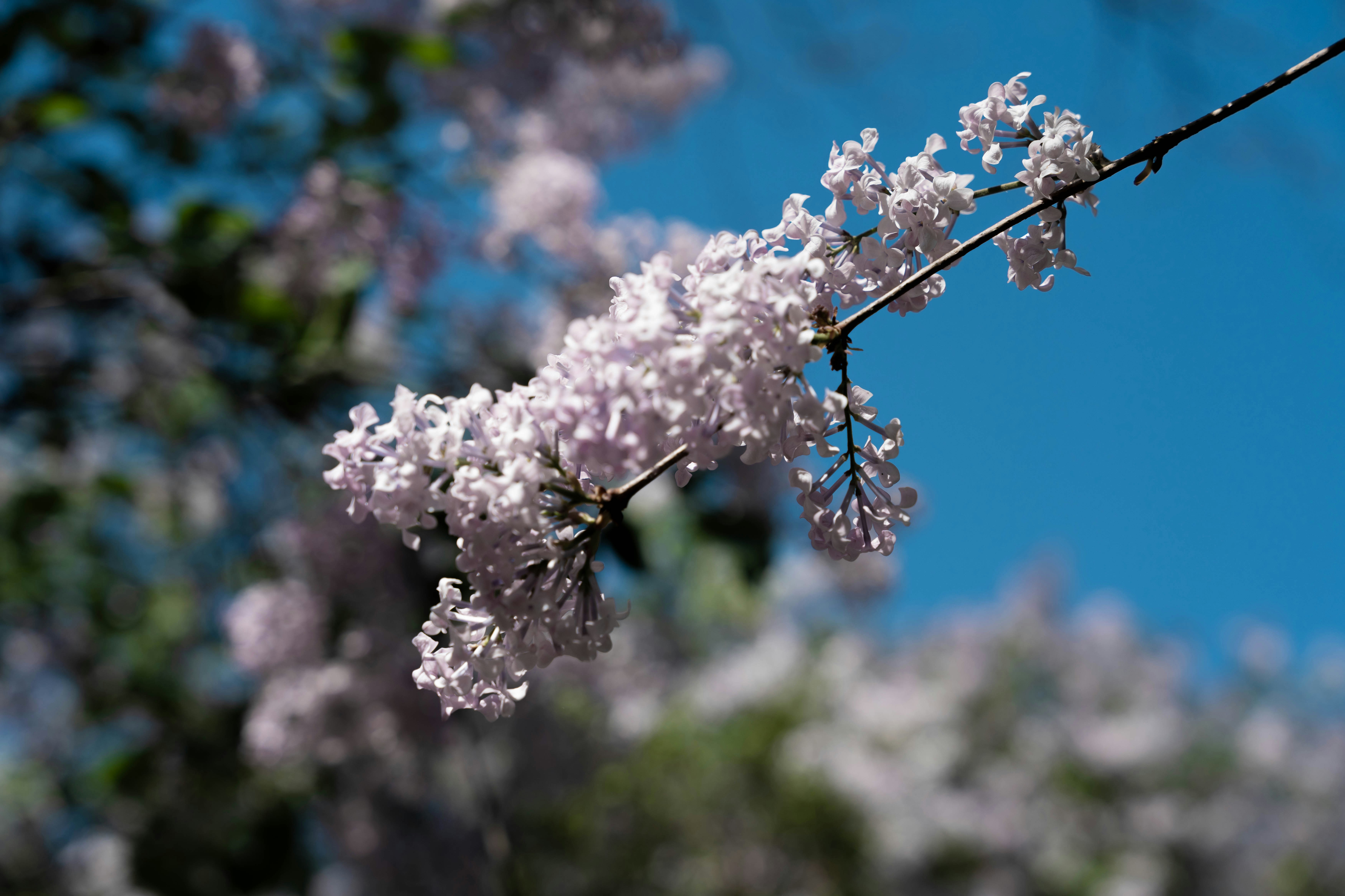 Photo by ertyig