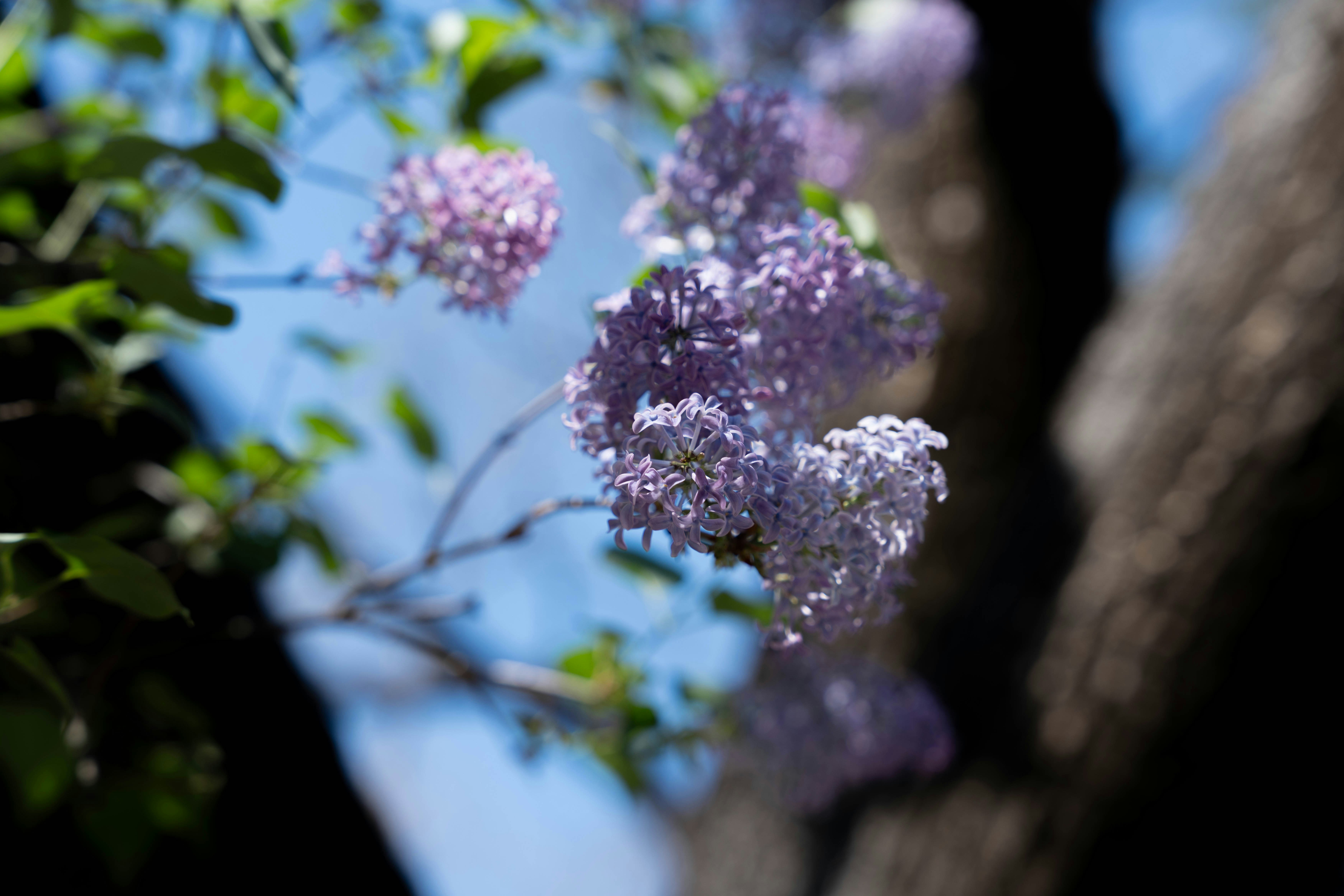 Photo by ertyig