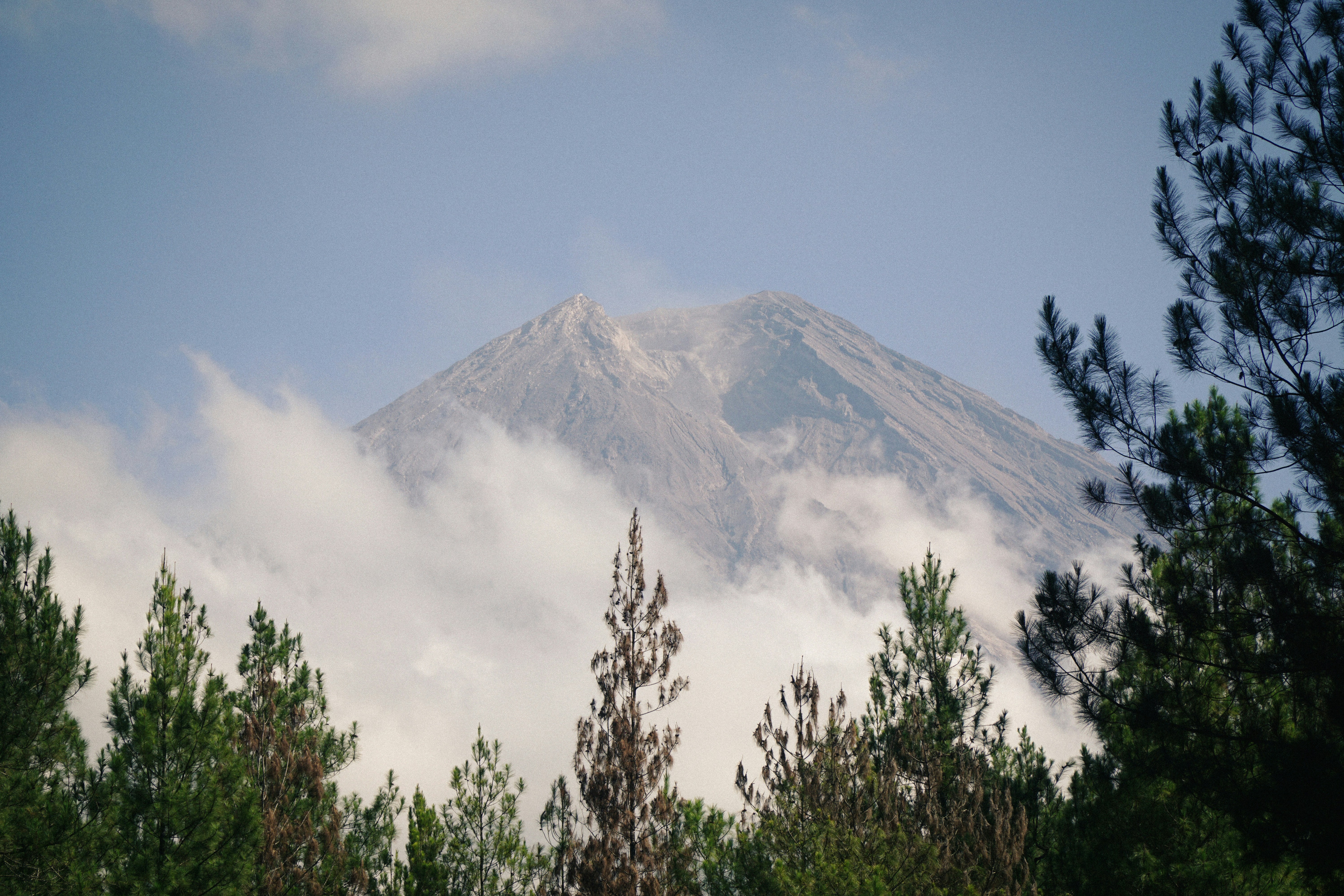 Photo by ngarsipcahaya
