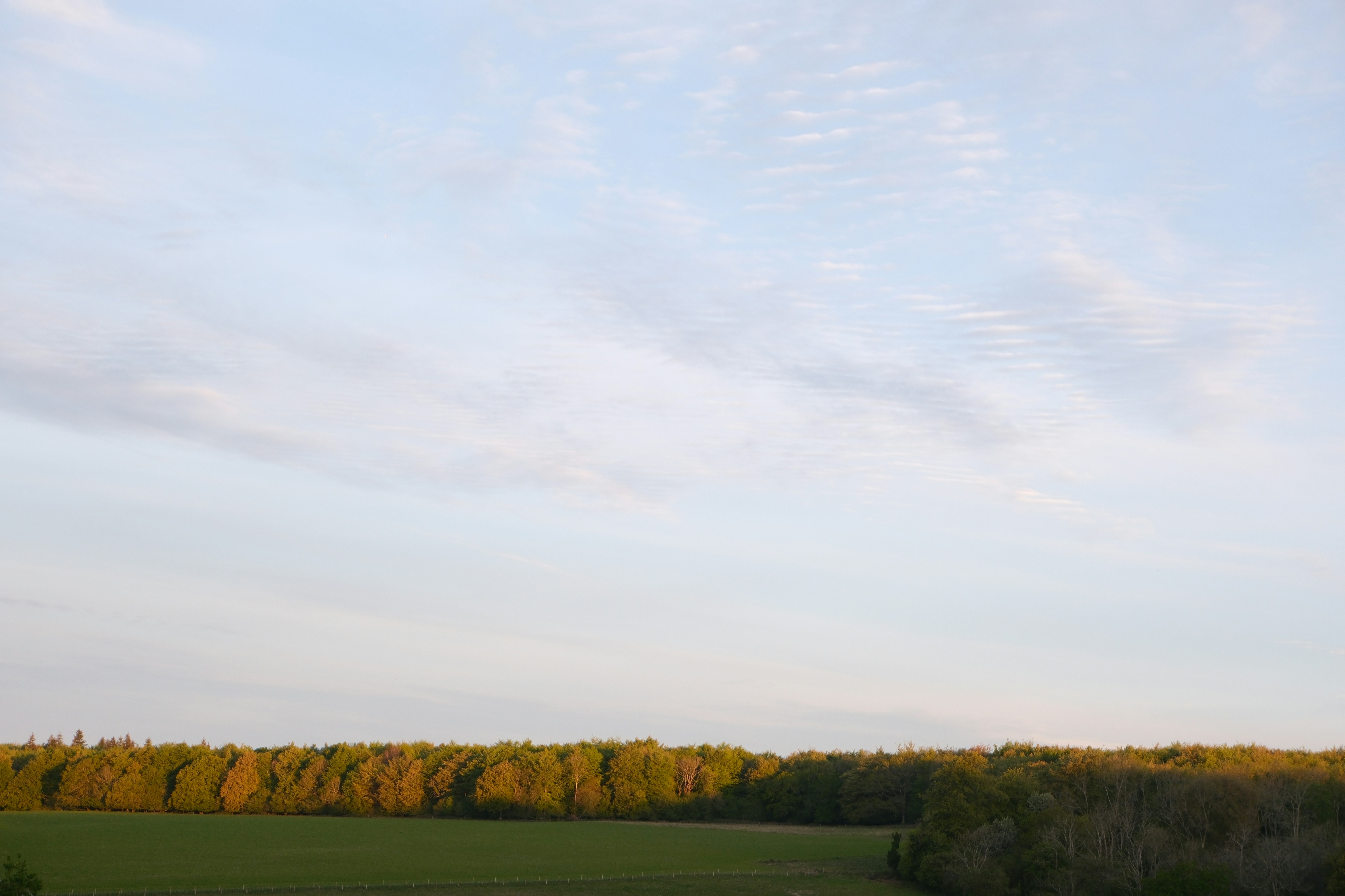 Goldene Stundenlicht auf einem fernen Wald und Feld.