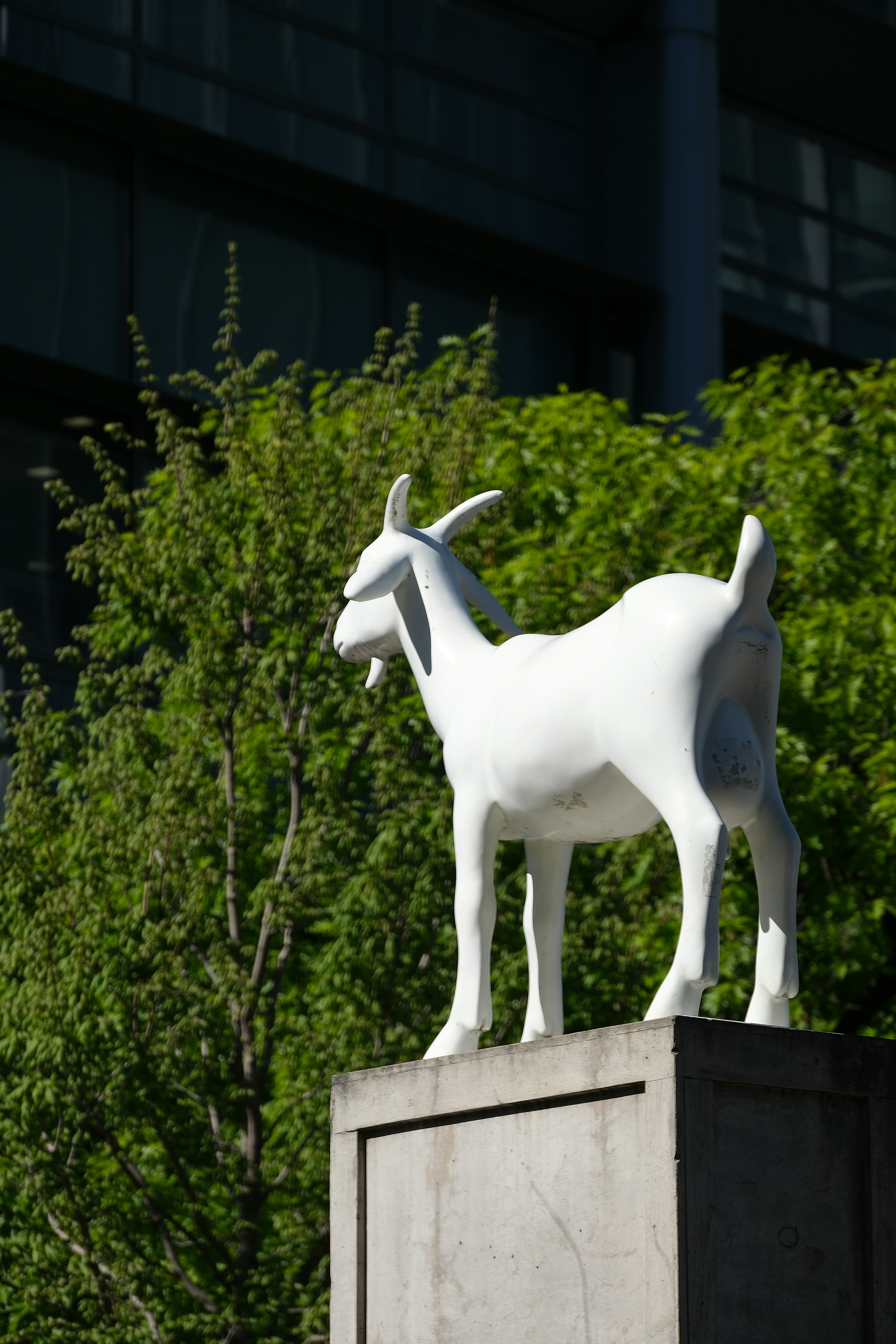 Une statue de chèvre blanche se dresse sur un piédestal en béton à l’extérieur.