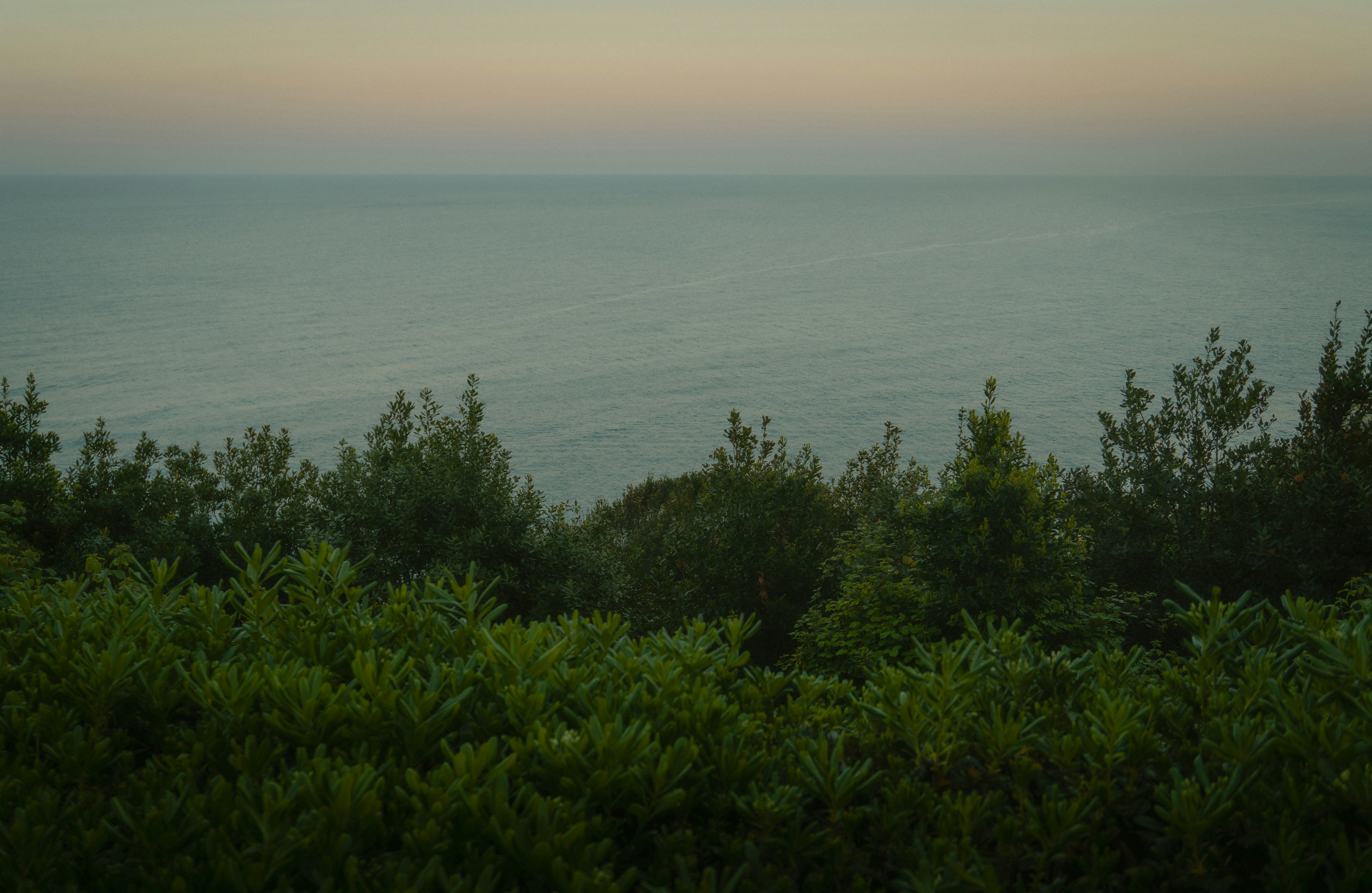 Photo by lacyec