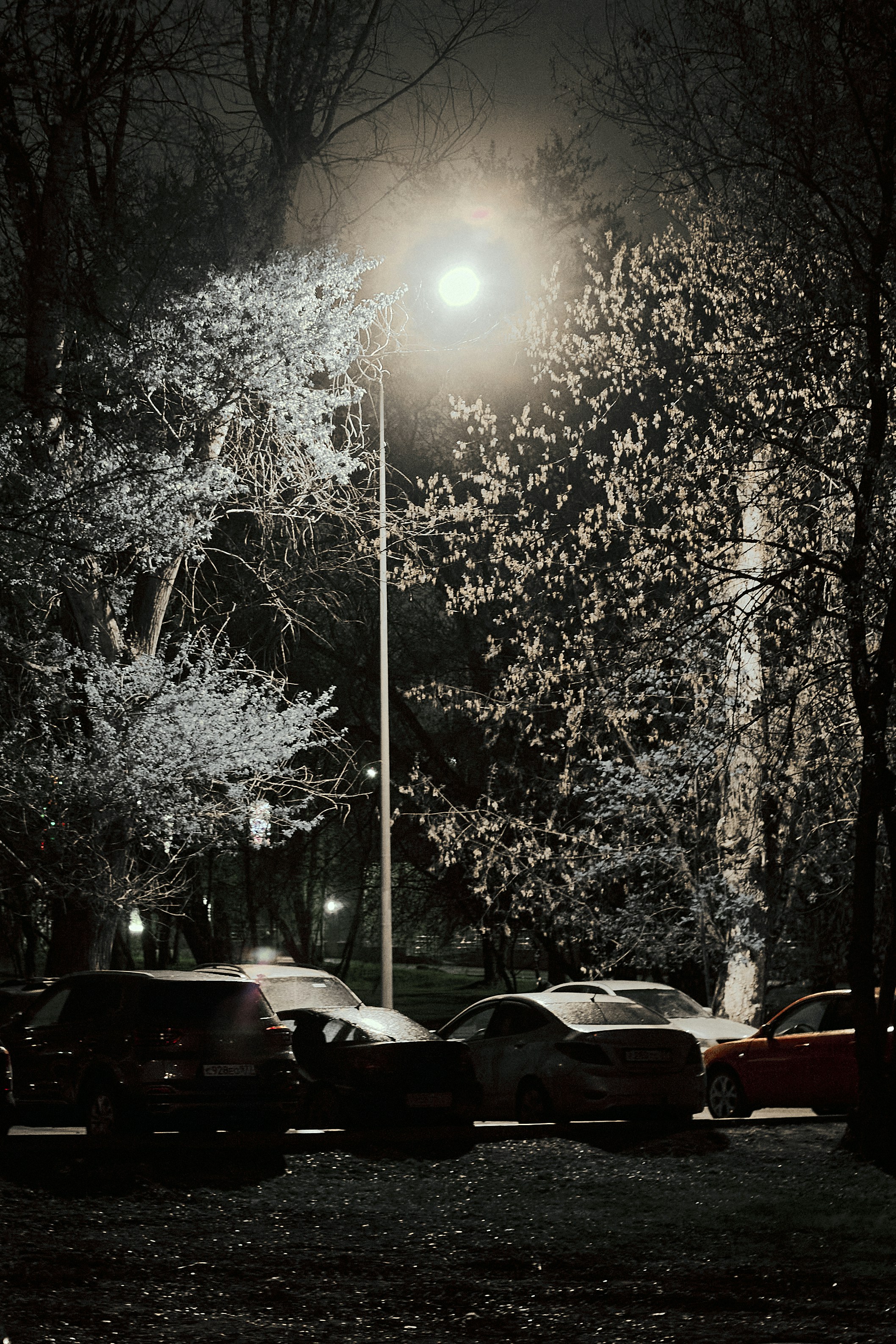 Streetlight illuminates parked cars at night