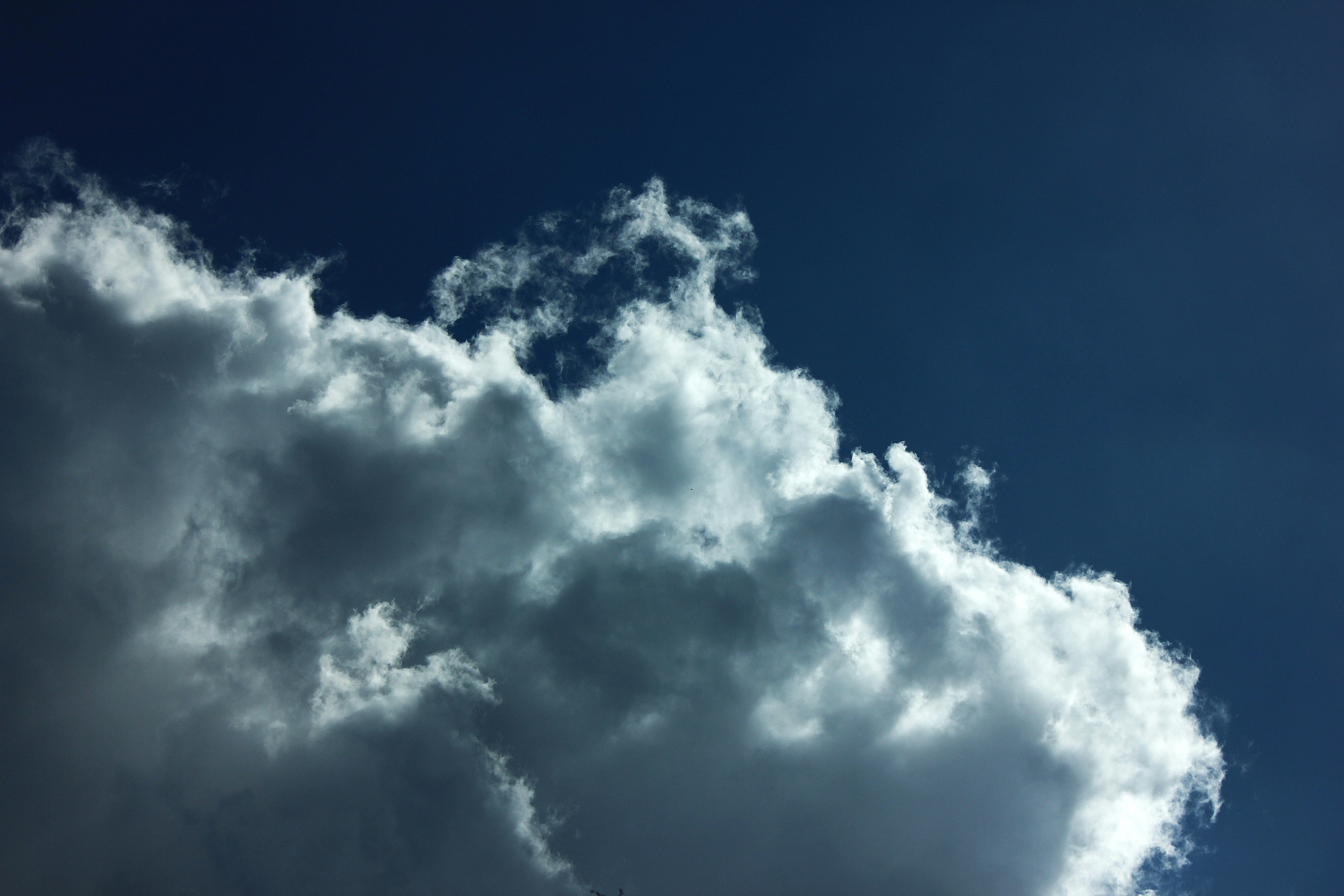 Una nube blanca y esponjosa contra un cielo azul profundo.