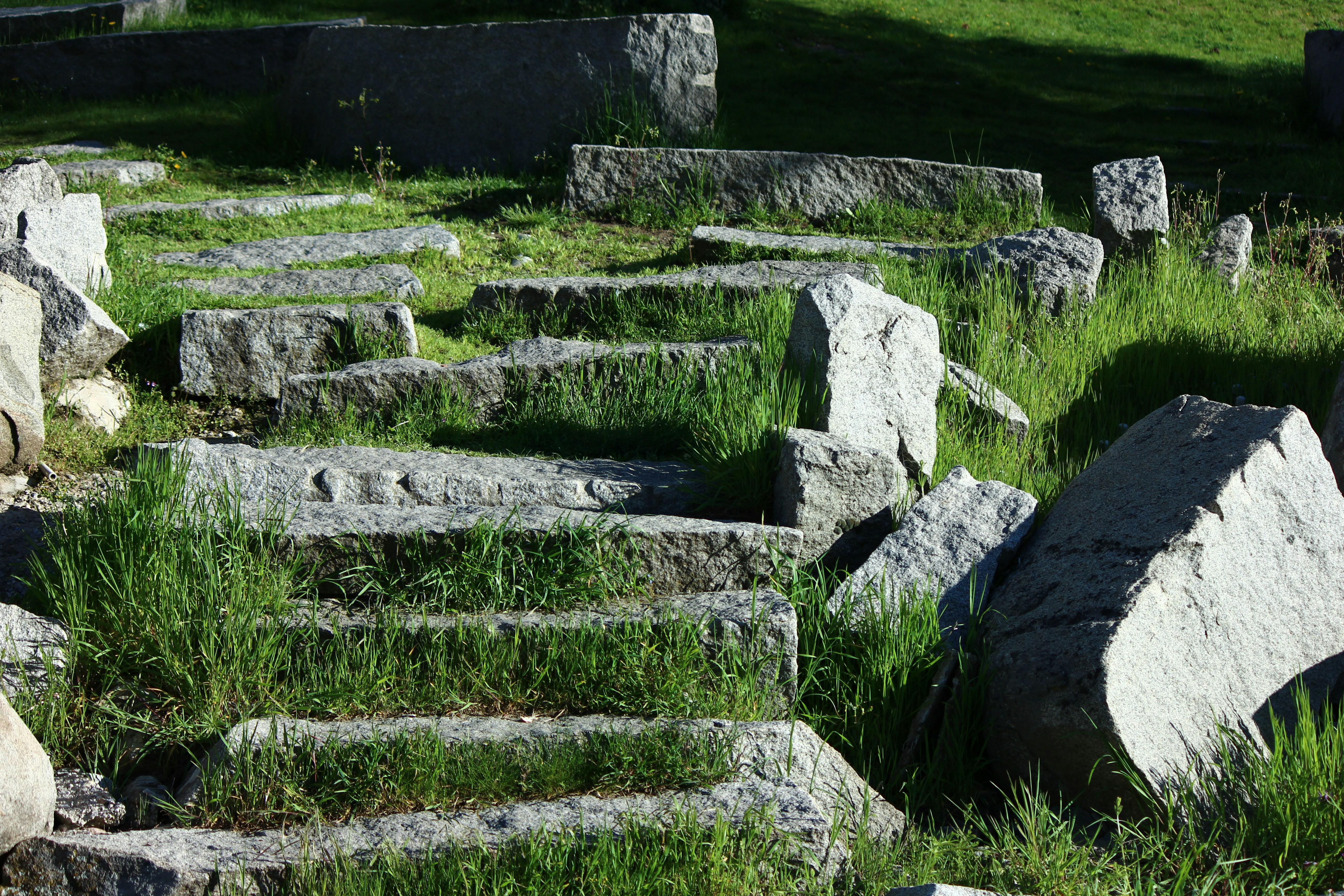 Escalones de piedra cubiertos de hierba al aire libre