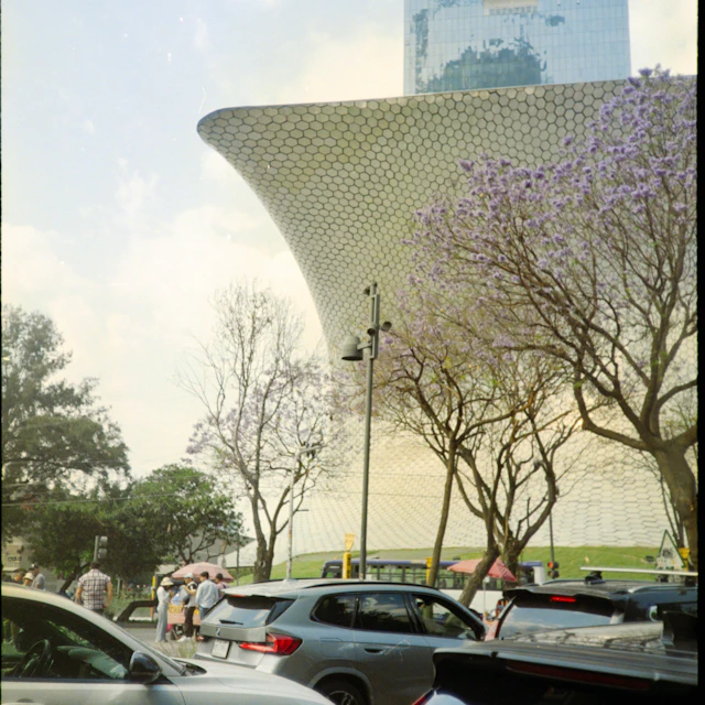 Cars on a Mexico City street lined with purple jacaranda trees in bloom beside a modern building