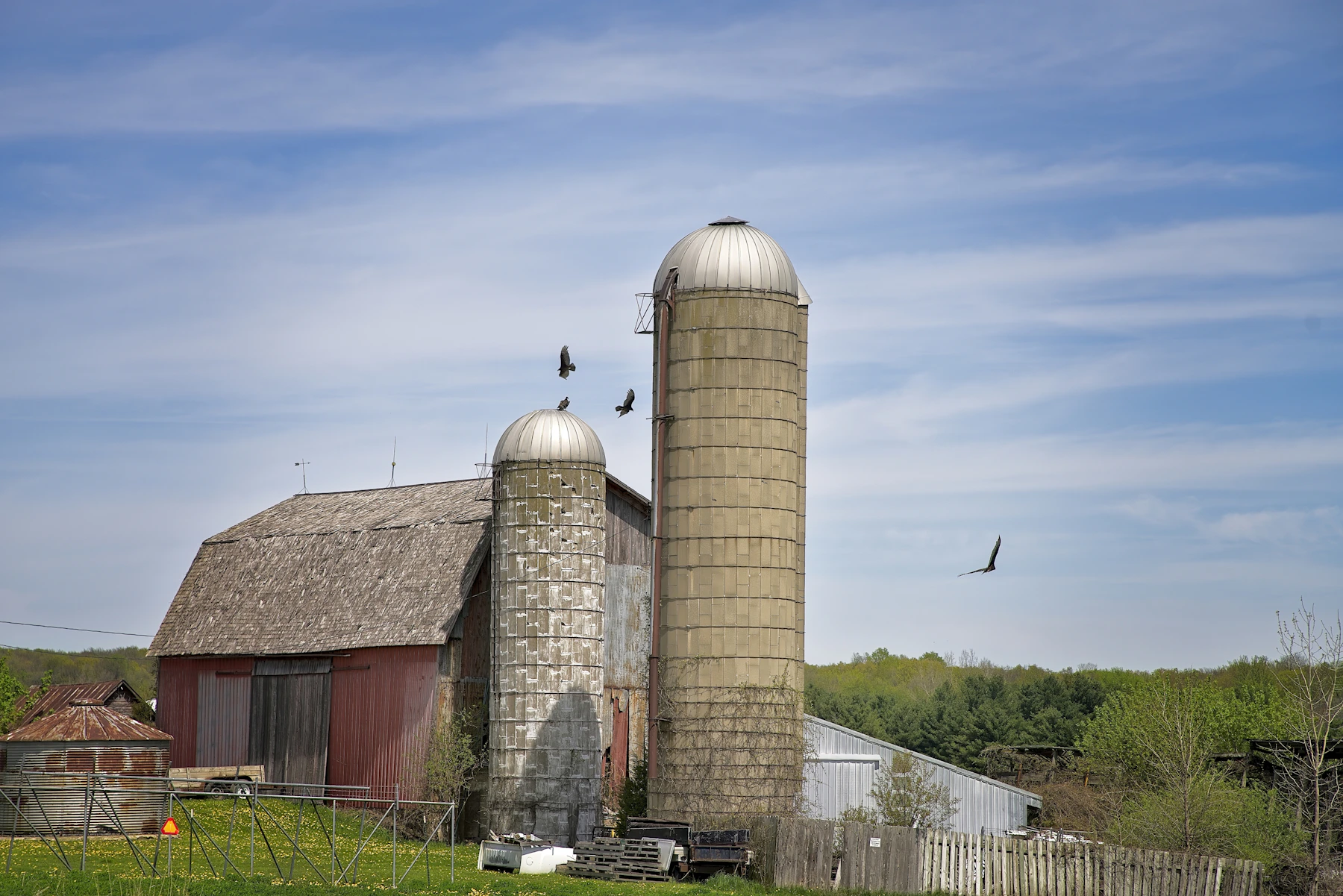 Struttura agricola con capannoni e silos