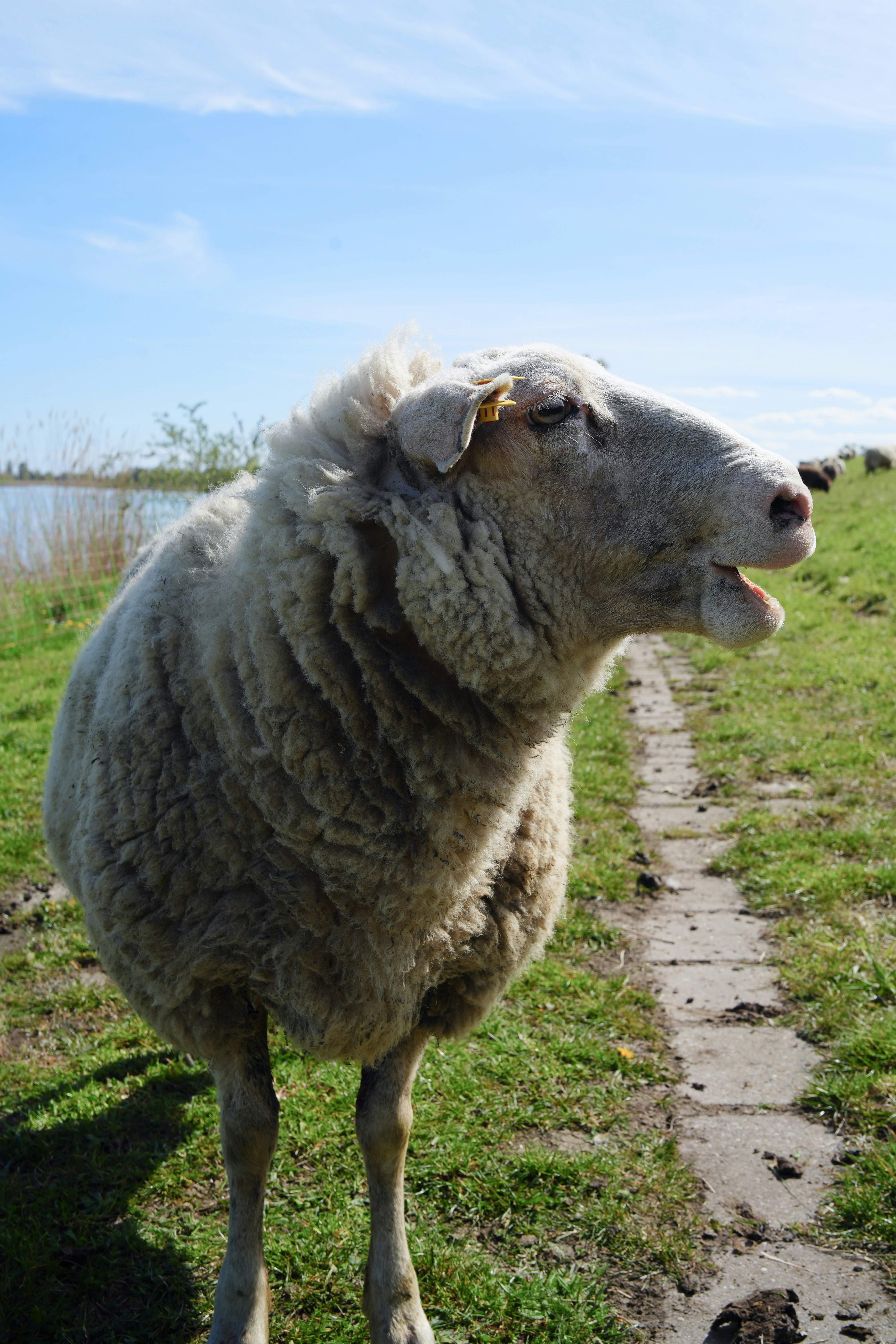Ein veröffentlichtes Foto