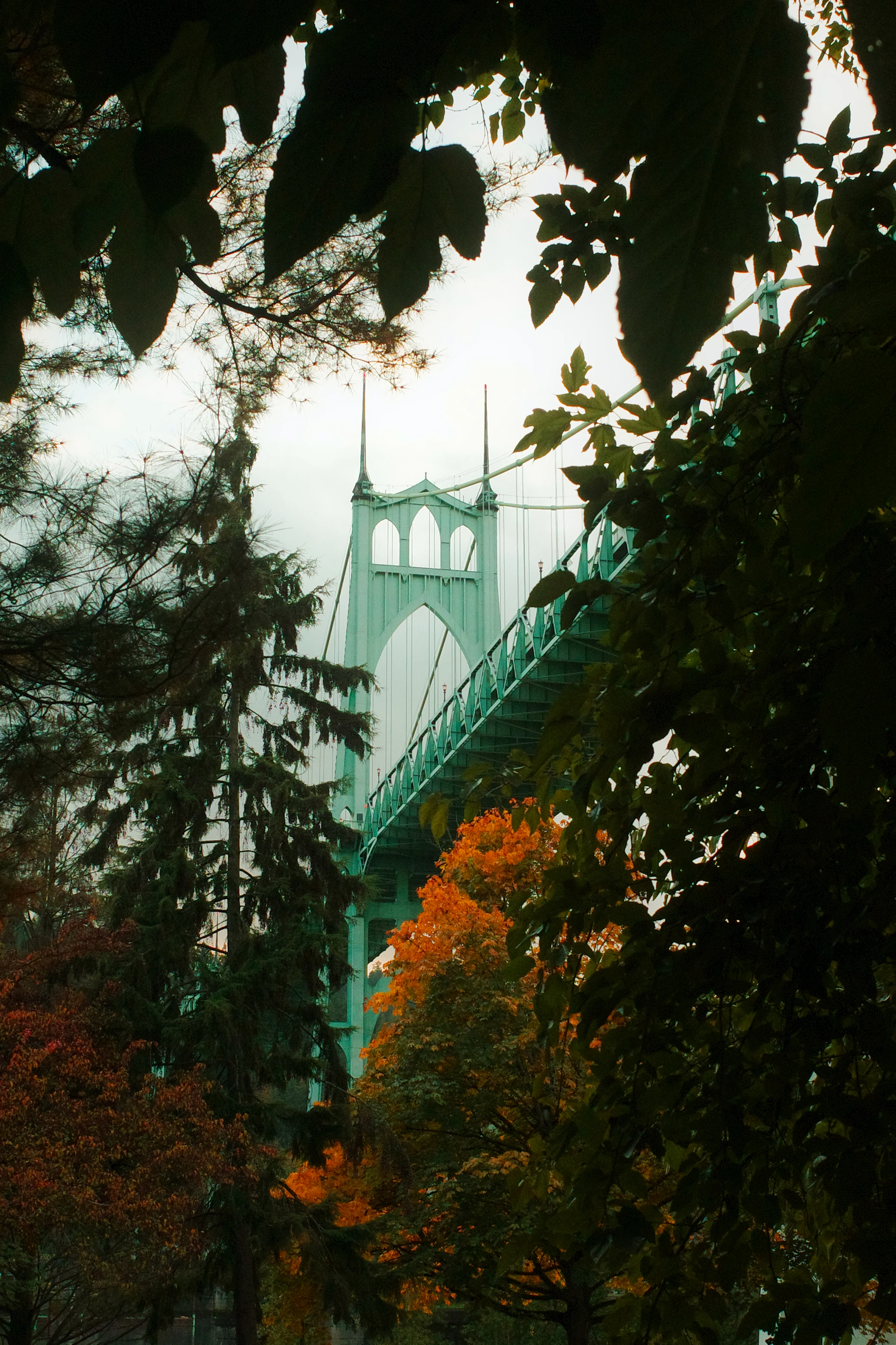 Green bridge seen through autumn trees