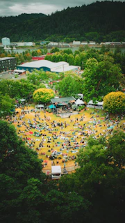 People gathered in a park for an outdoor concert.