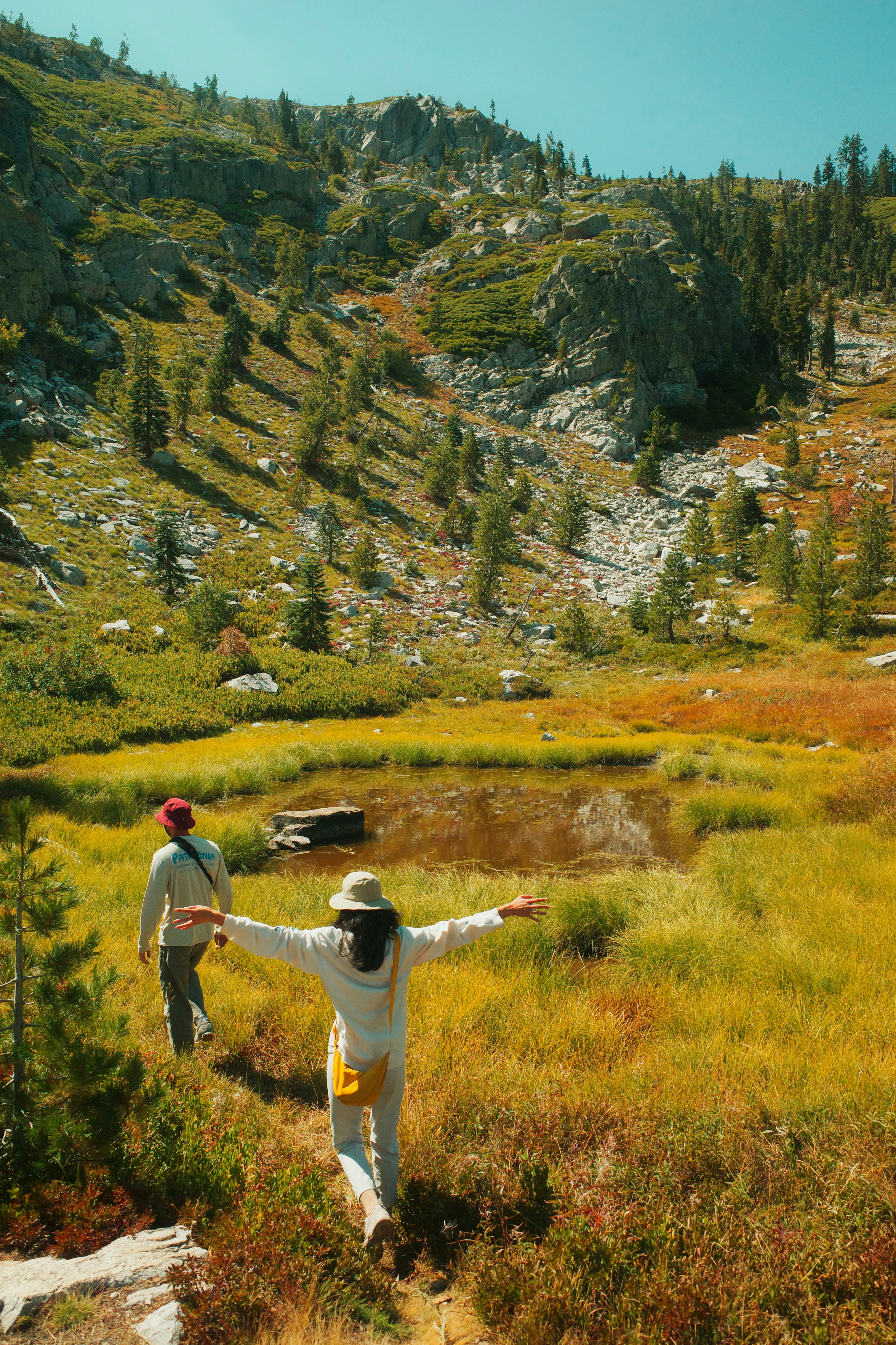 Two participants on a guided walk through a meadow