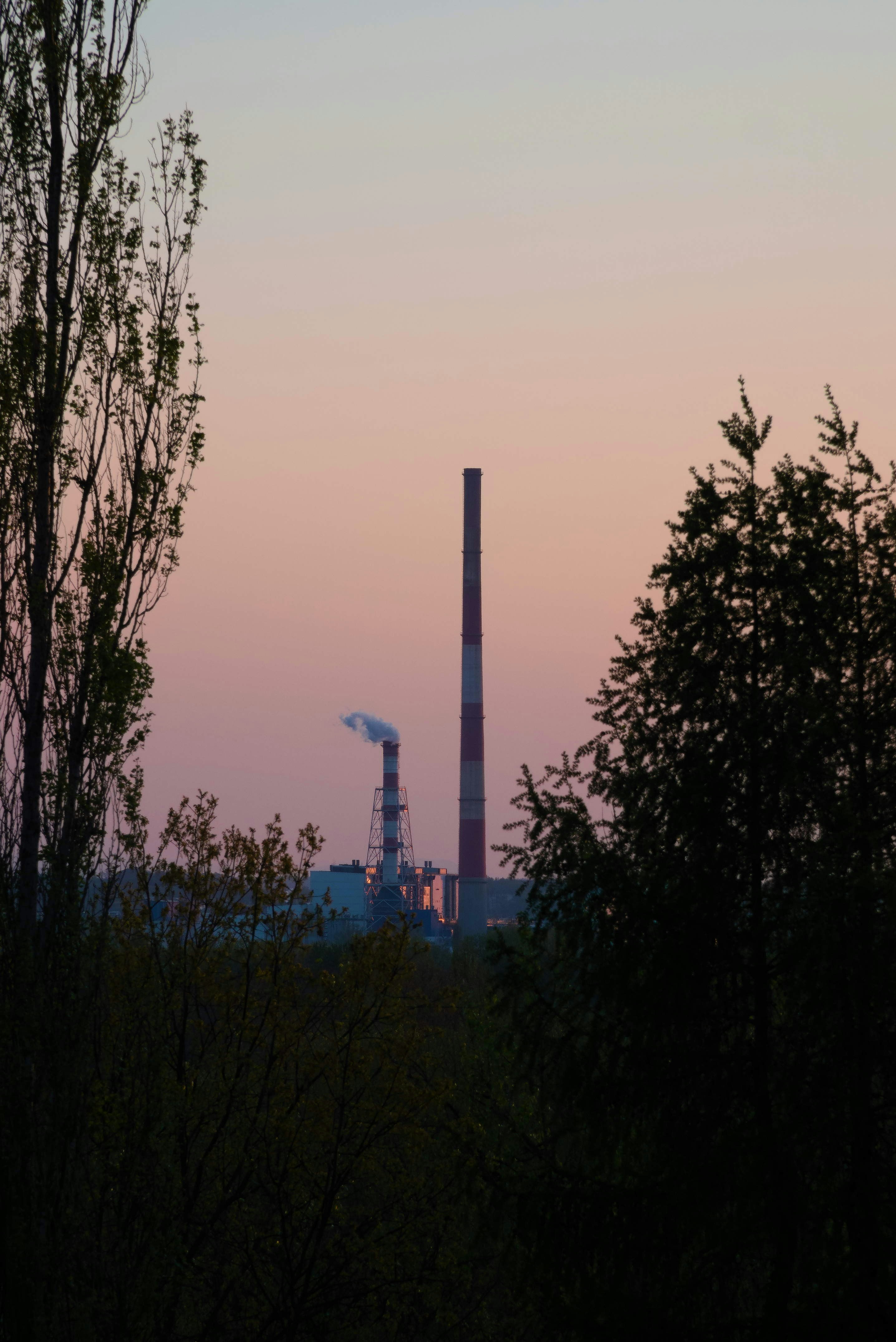 Photo by jryszka