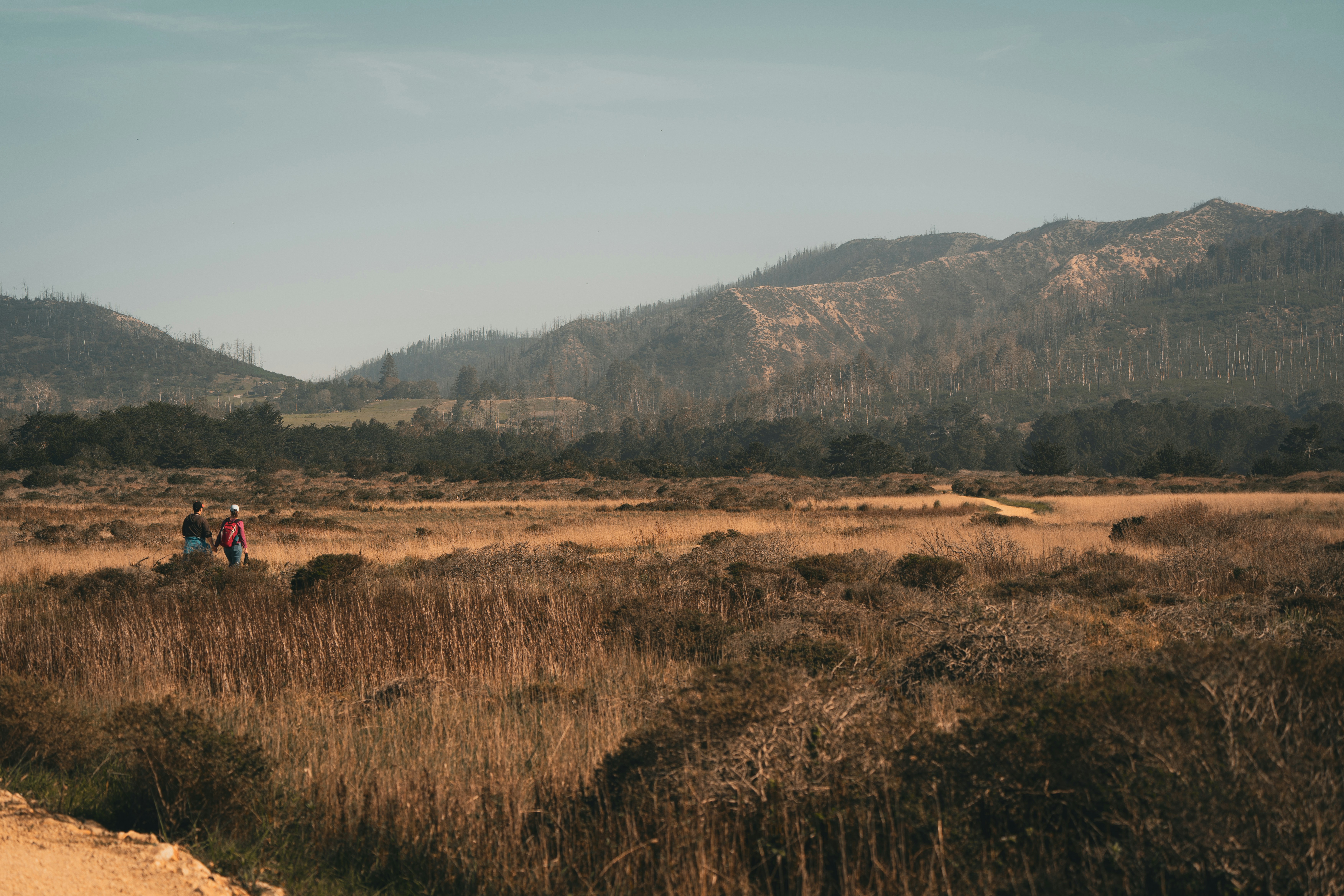 Two people walk through a dry, grassy field with mountains.
