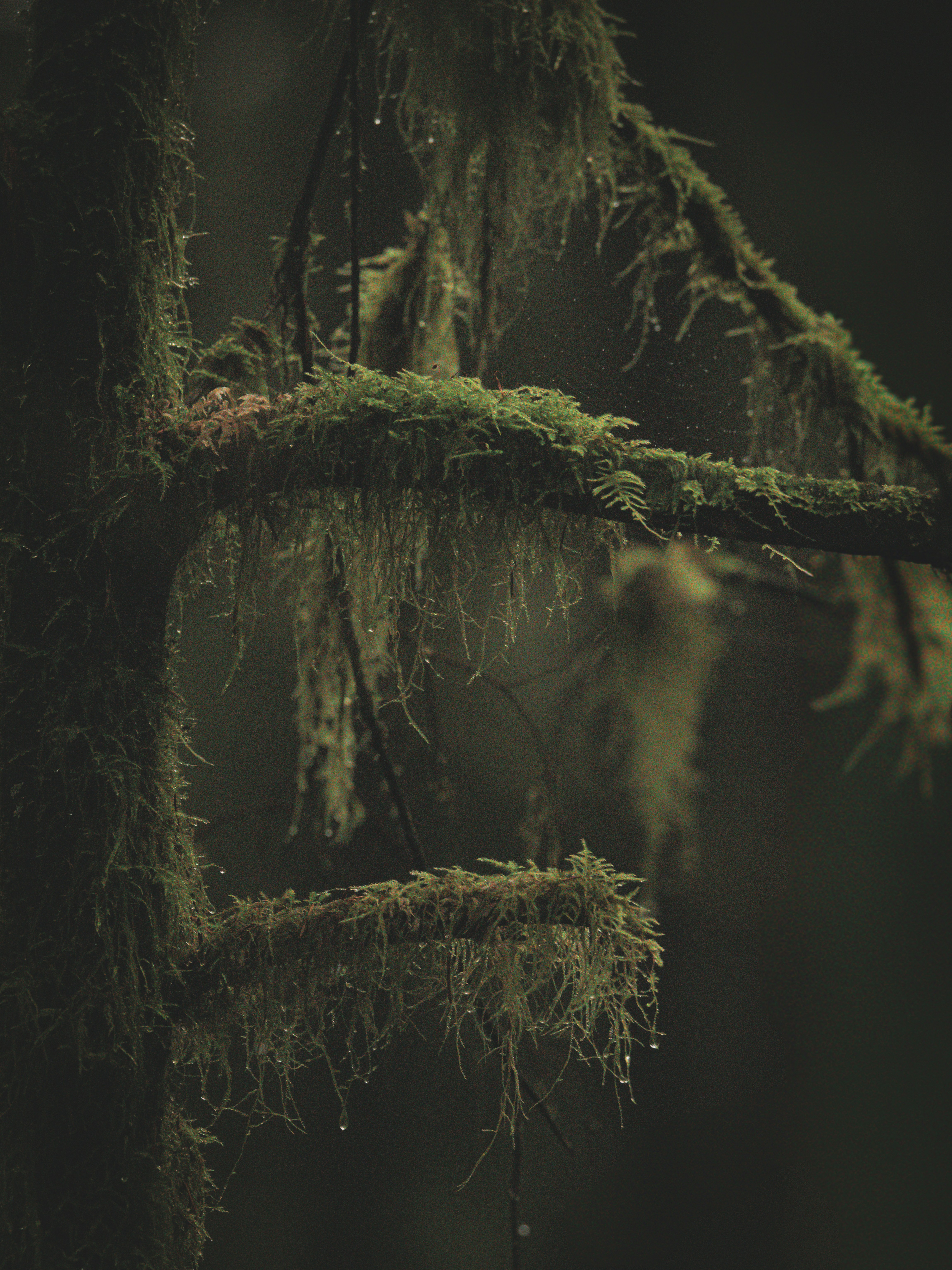 Photo by capturinginthewild