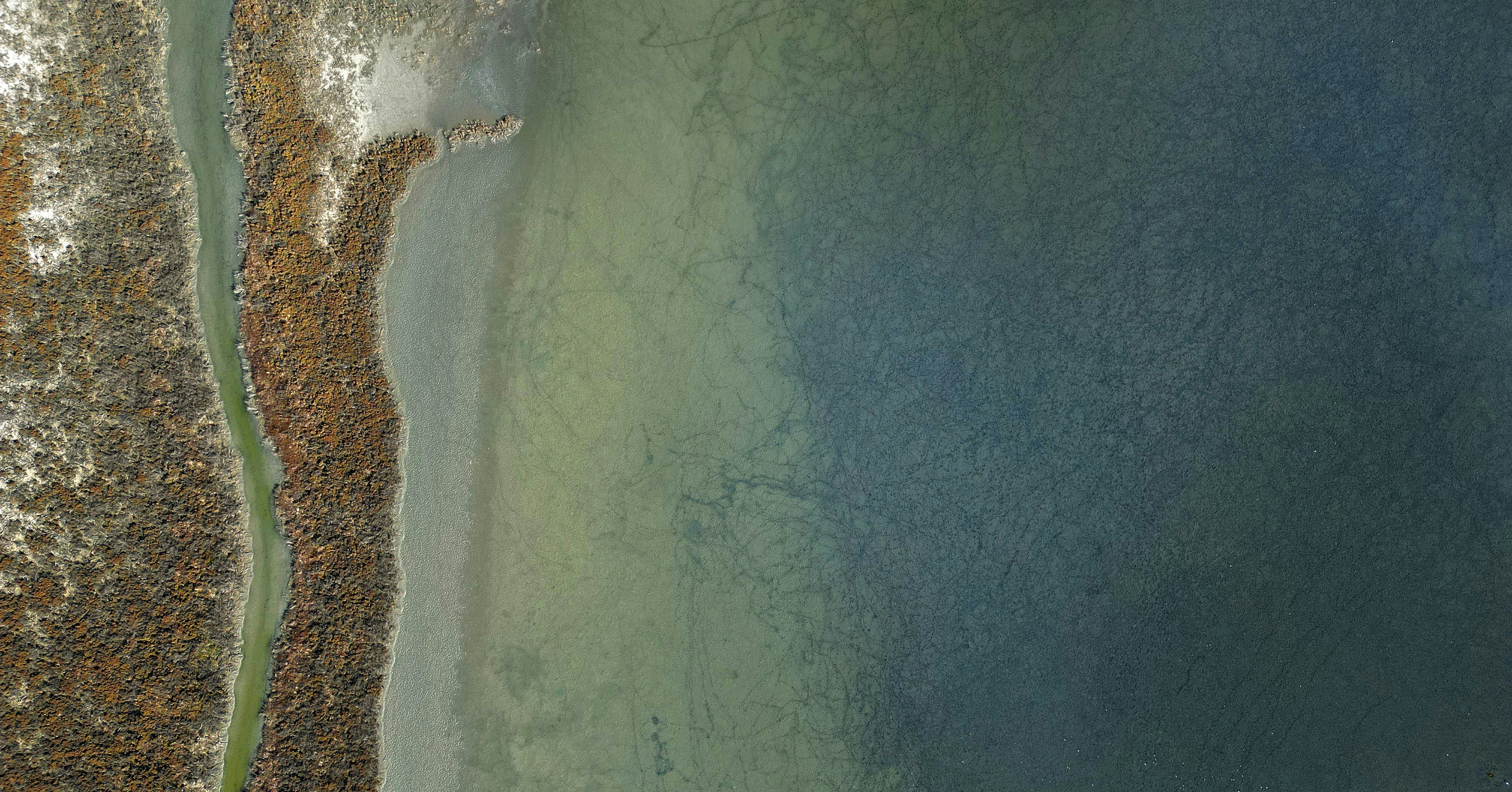 Vista aérea de uma linha costeira com vegetação marrom e verde
