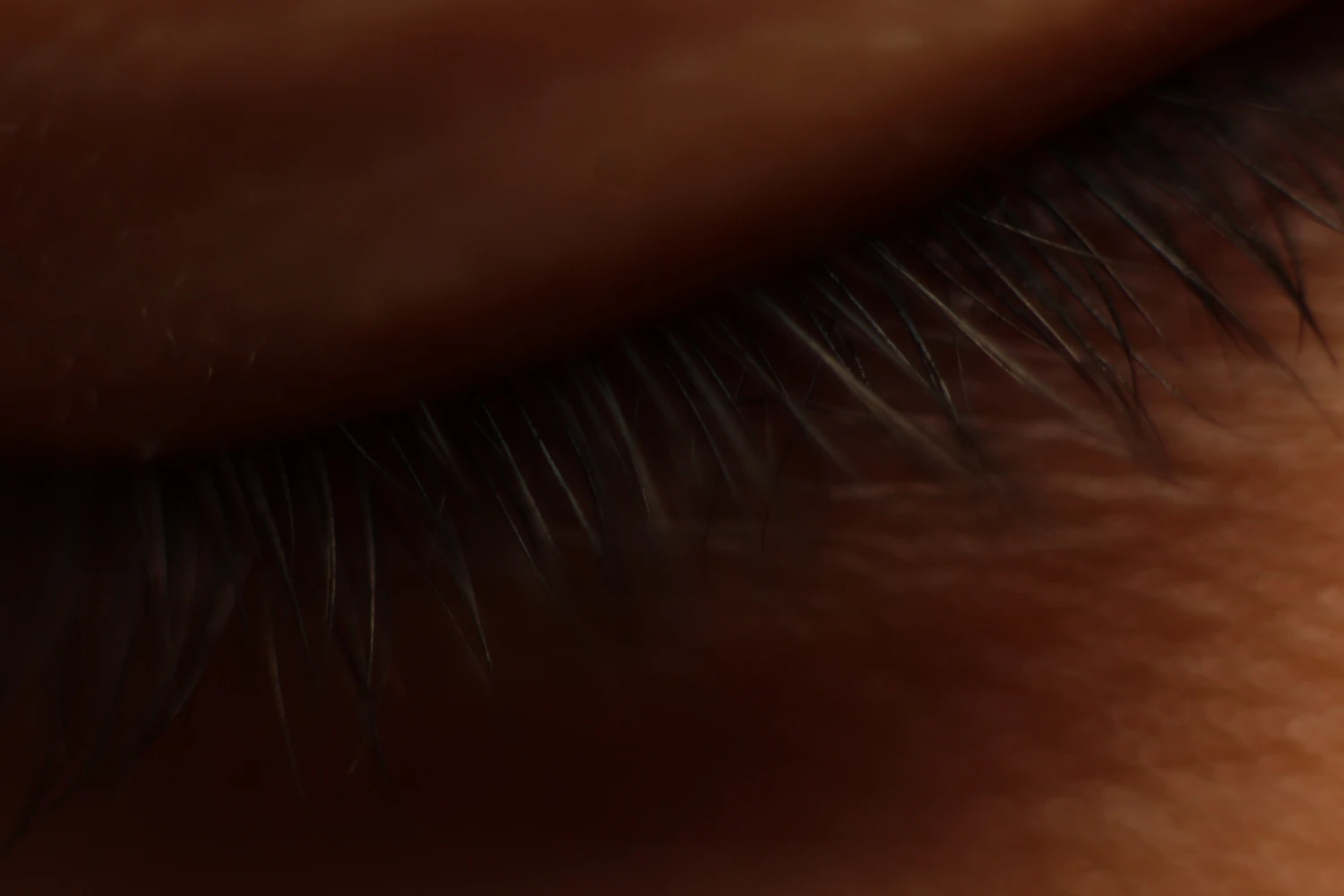 A macro crop of dark lashes against the curve of a closed eyelid