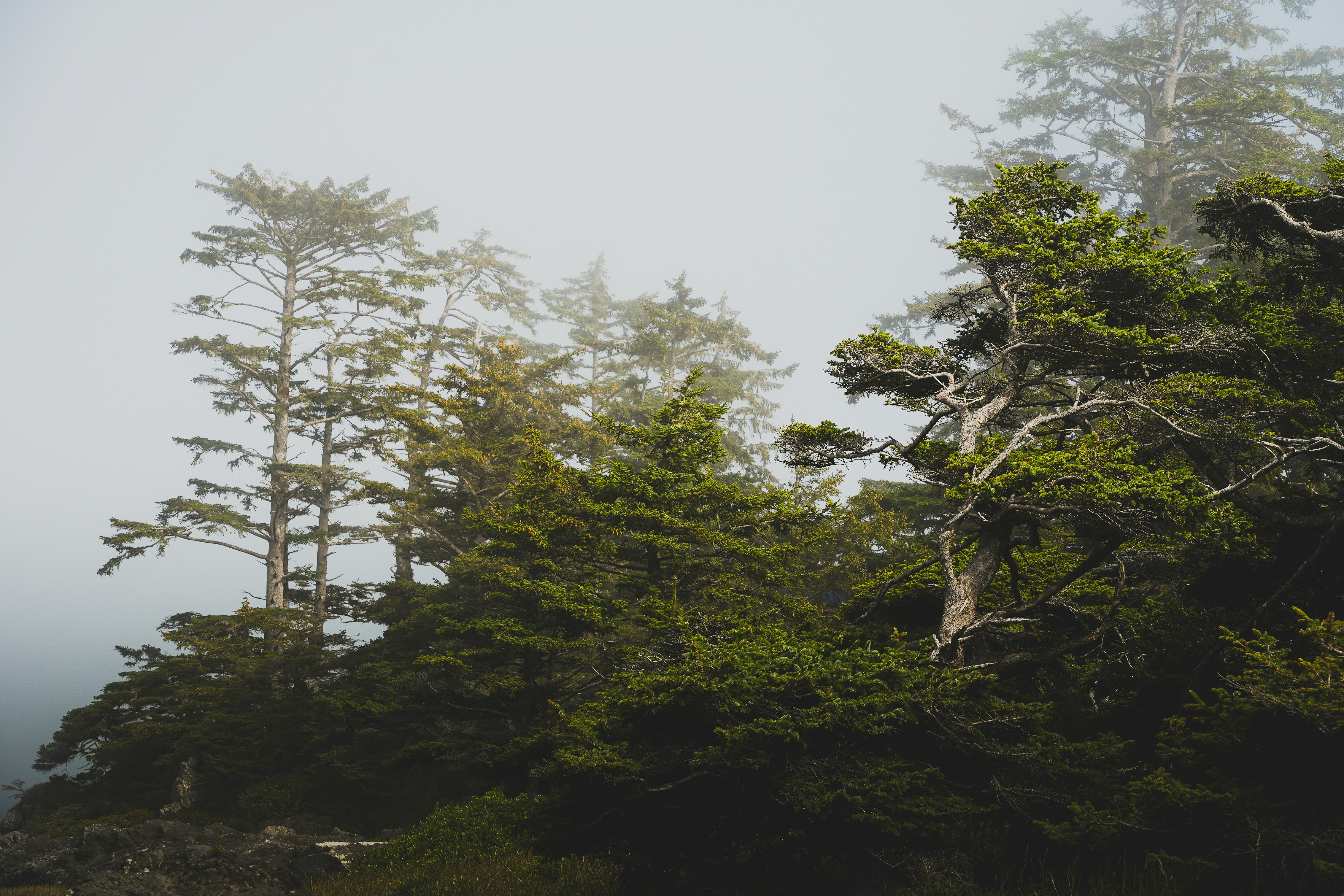 Photo by adamsfu