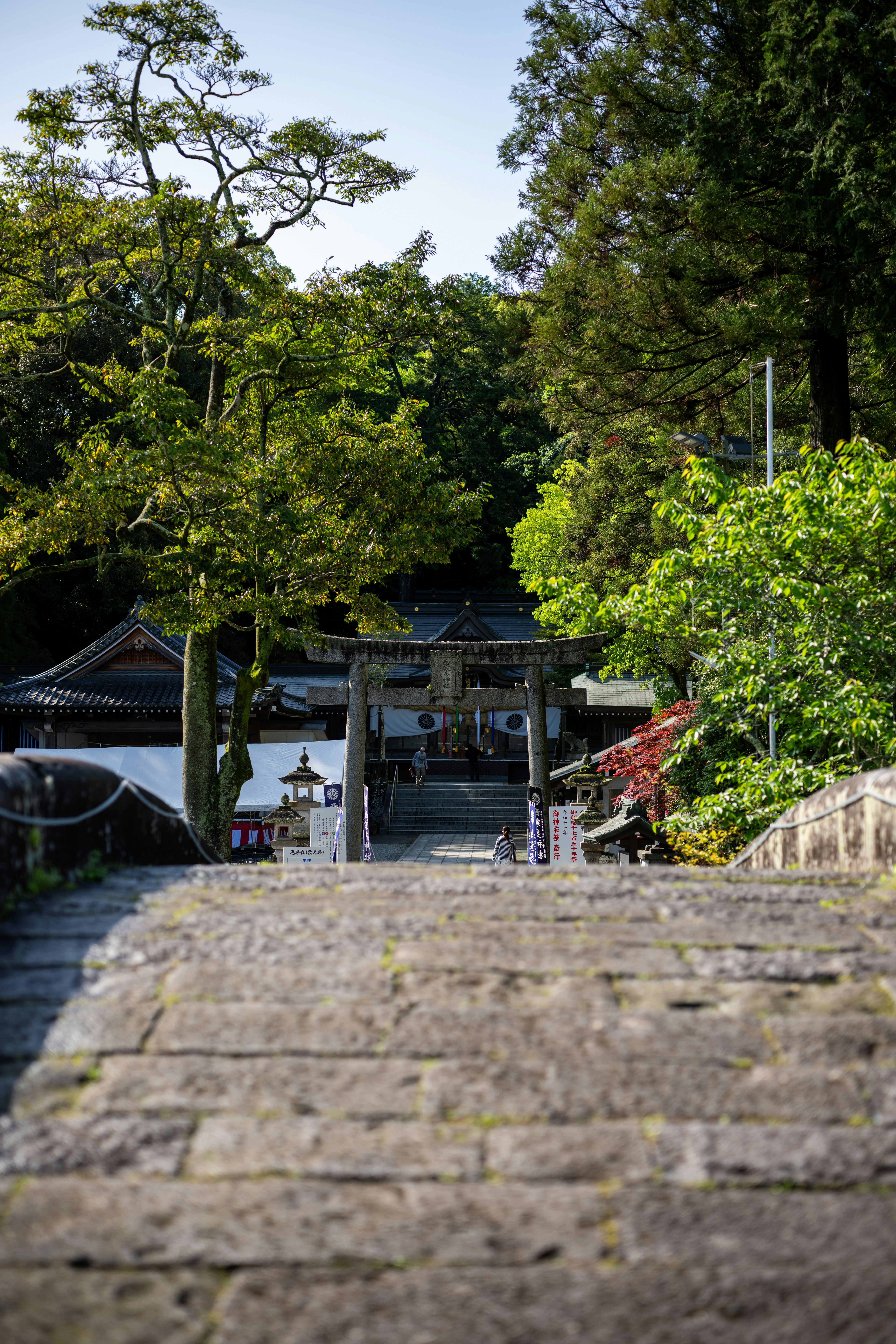 Stone steps lead to a traditional japanese shrine entrance.