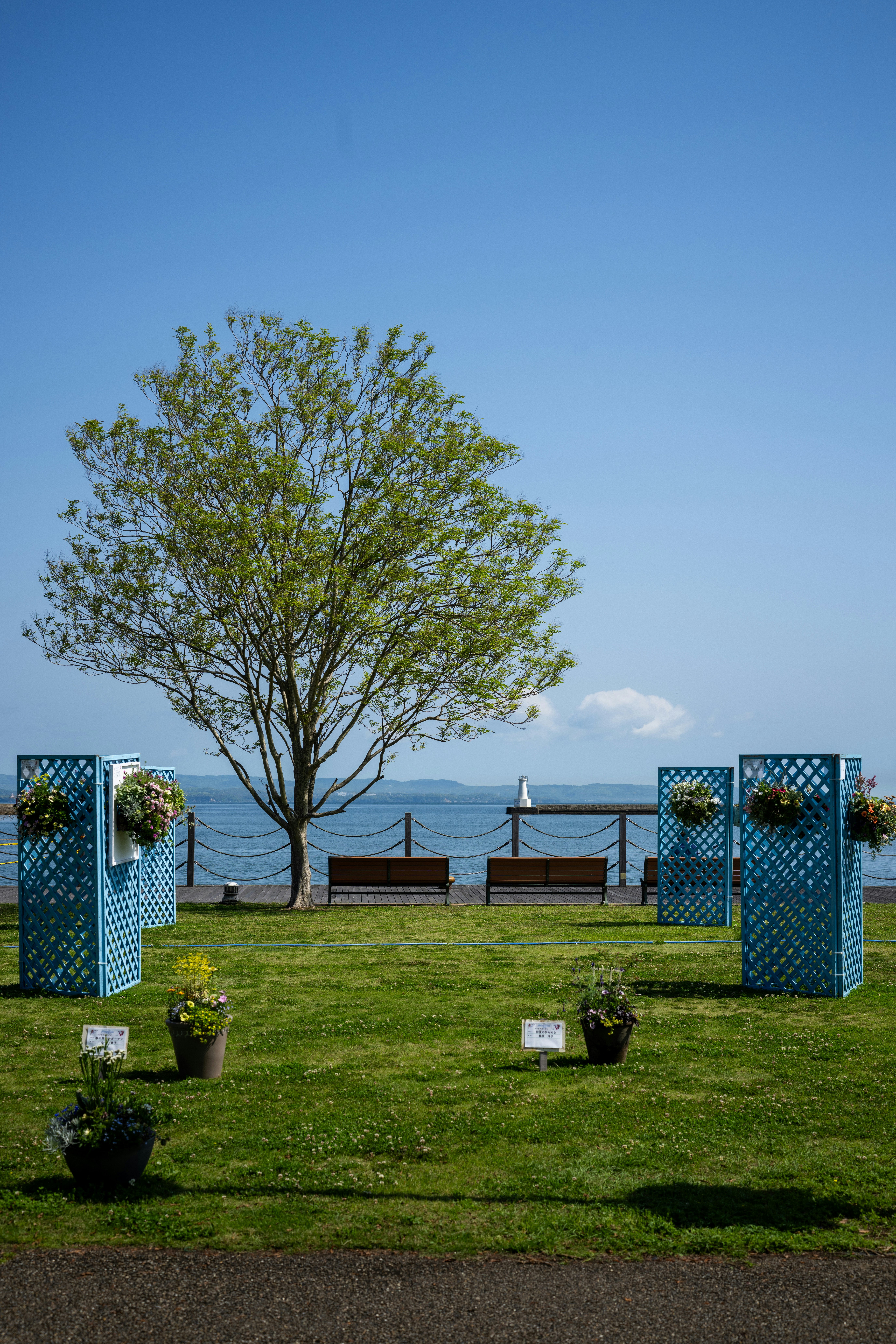 A park with decorative blue screens and blooming flowers.