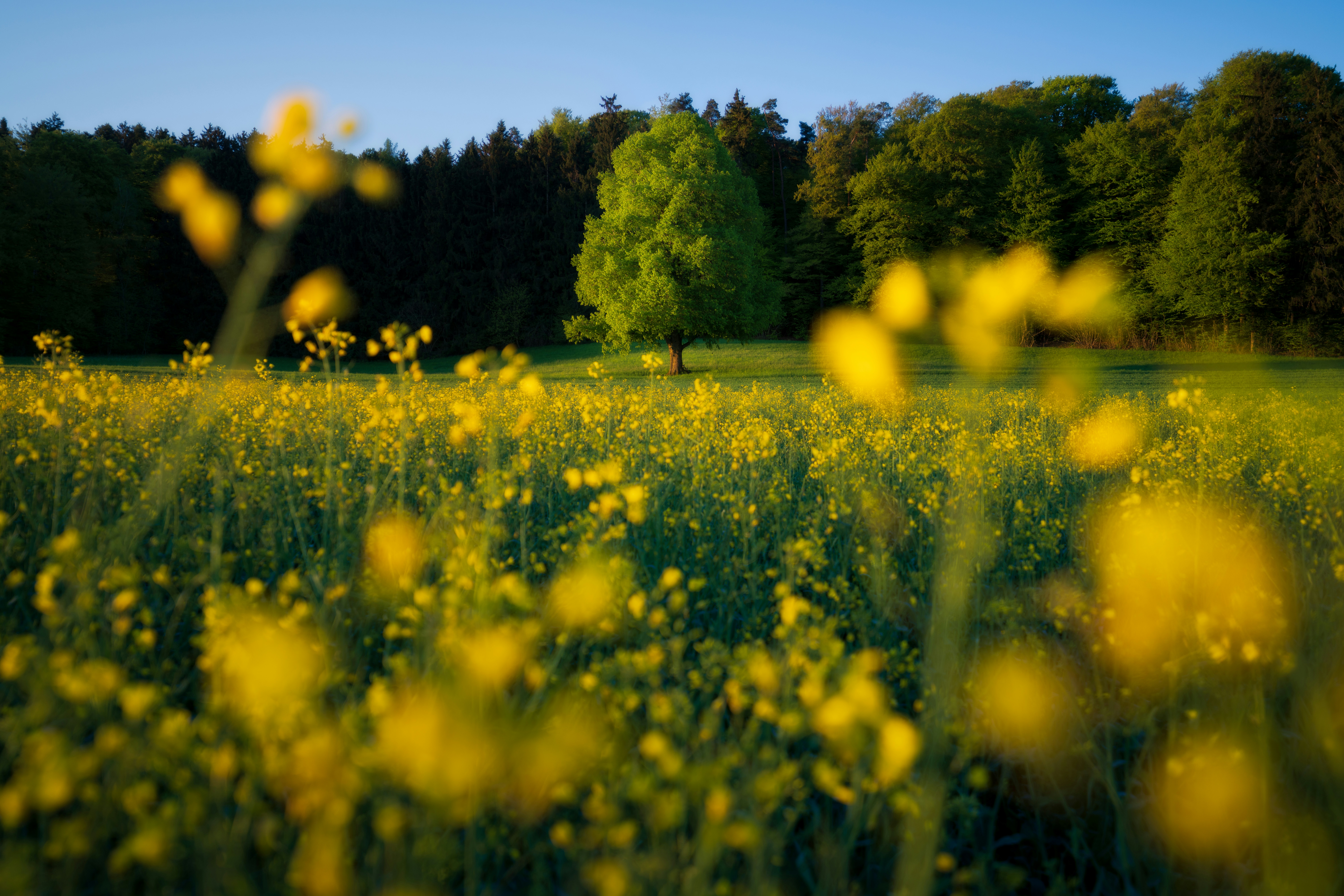 The Advantage of Having a Registered Agent Perk: Maintaining Your Enterprise in Excellent Standing