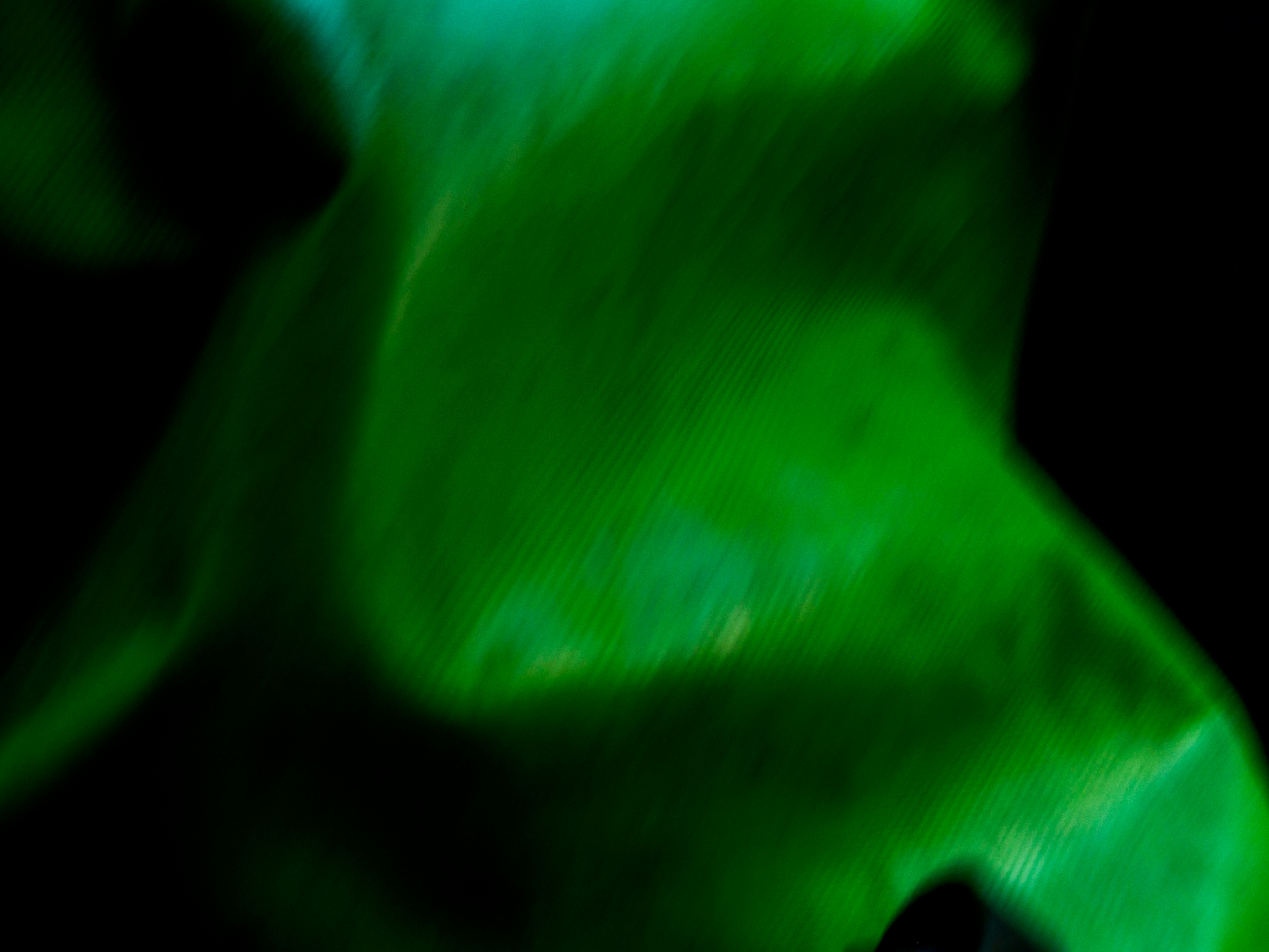 Photo by skstrannik