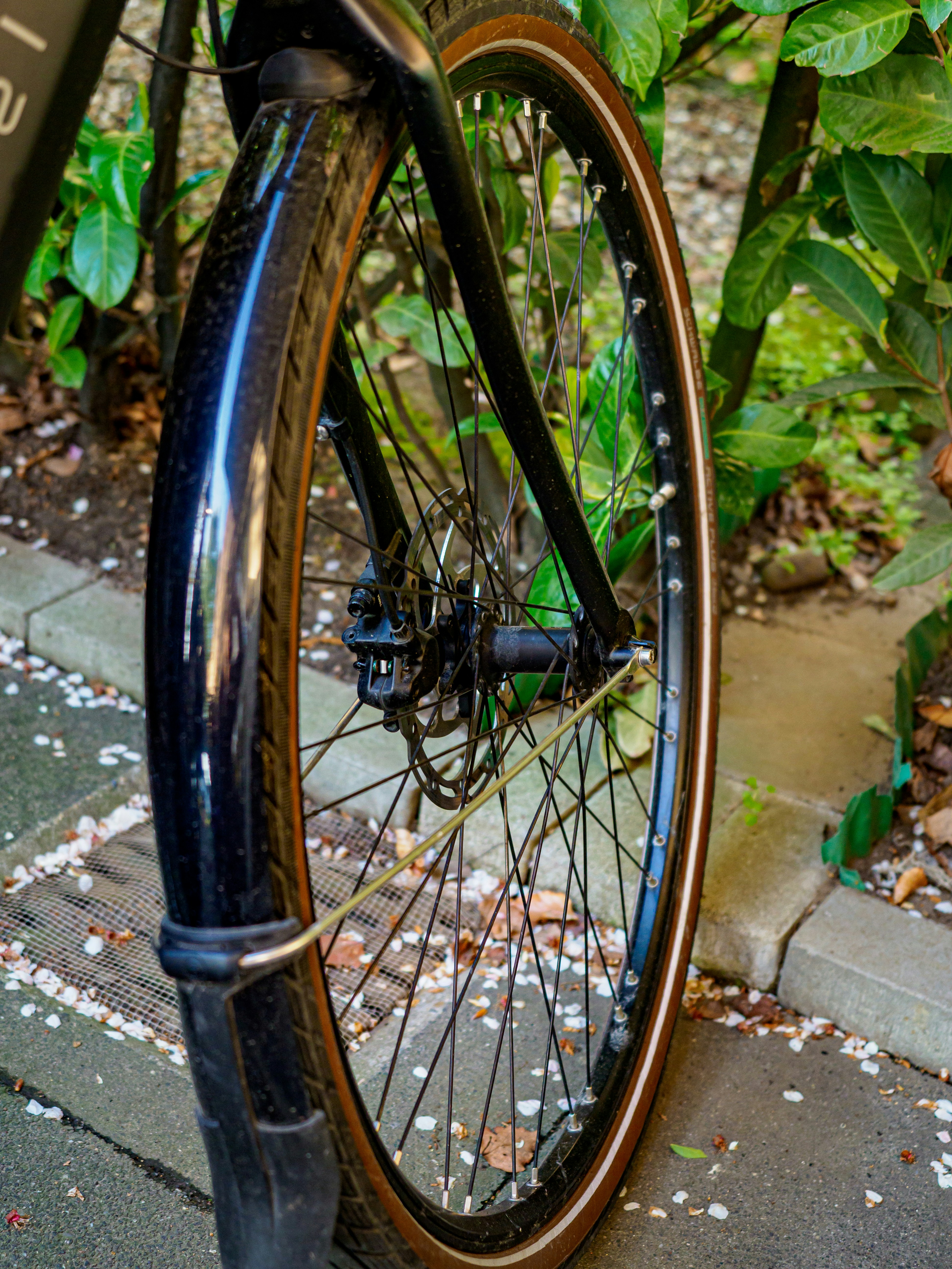 Plan rapproché d’une roue et d’un aile de vélo.
