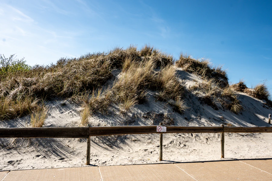 Zeeland