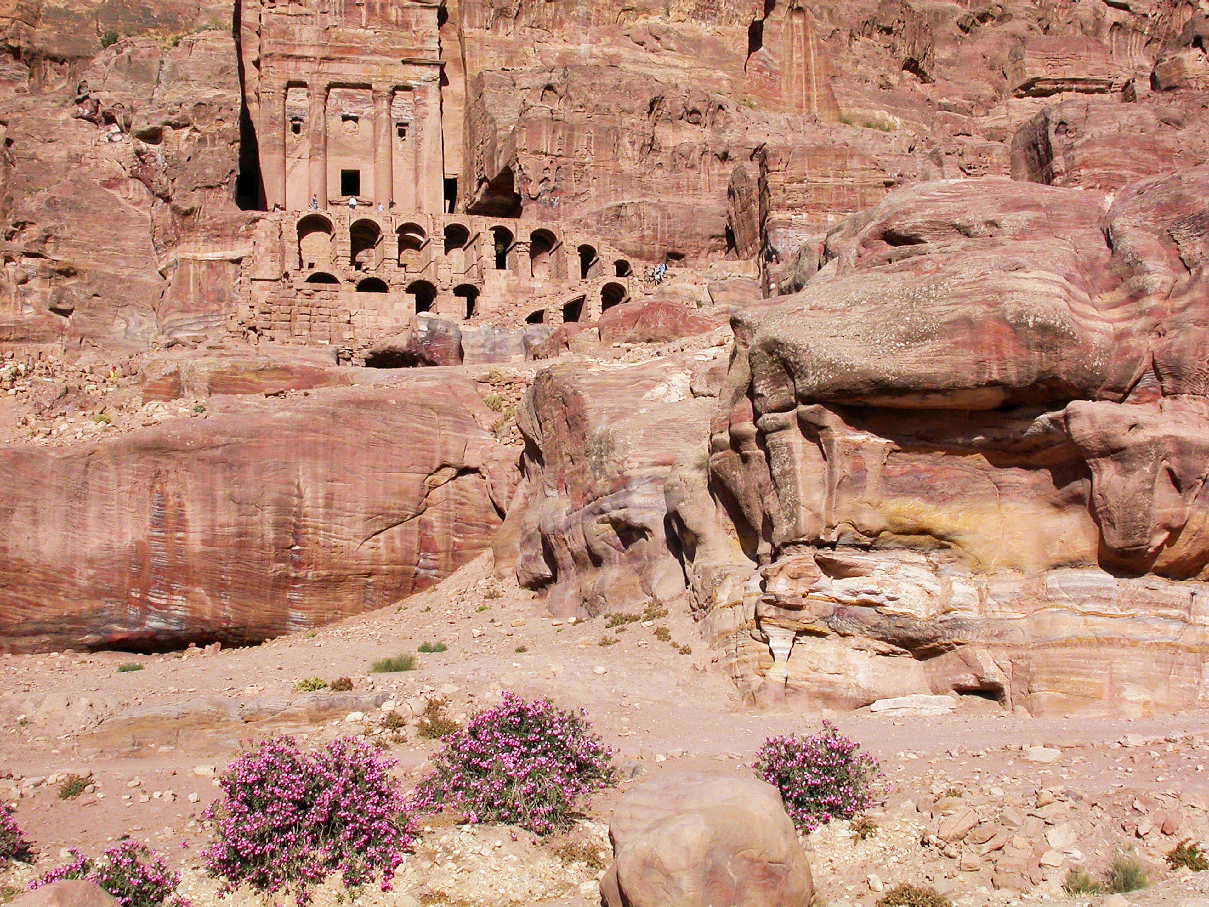 The Urn Tomb of Petra's Royal Tombs, its columned facade and double tier of arched vaults carved into a towering wall of pink and ochre striated sandstone, with purple flowering shrubs on the sand below