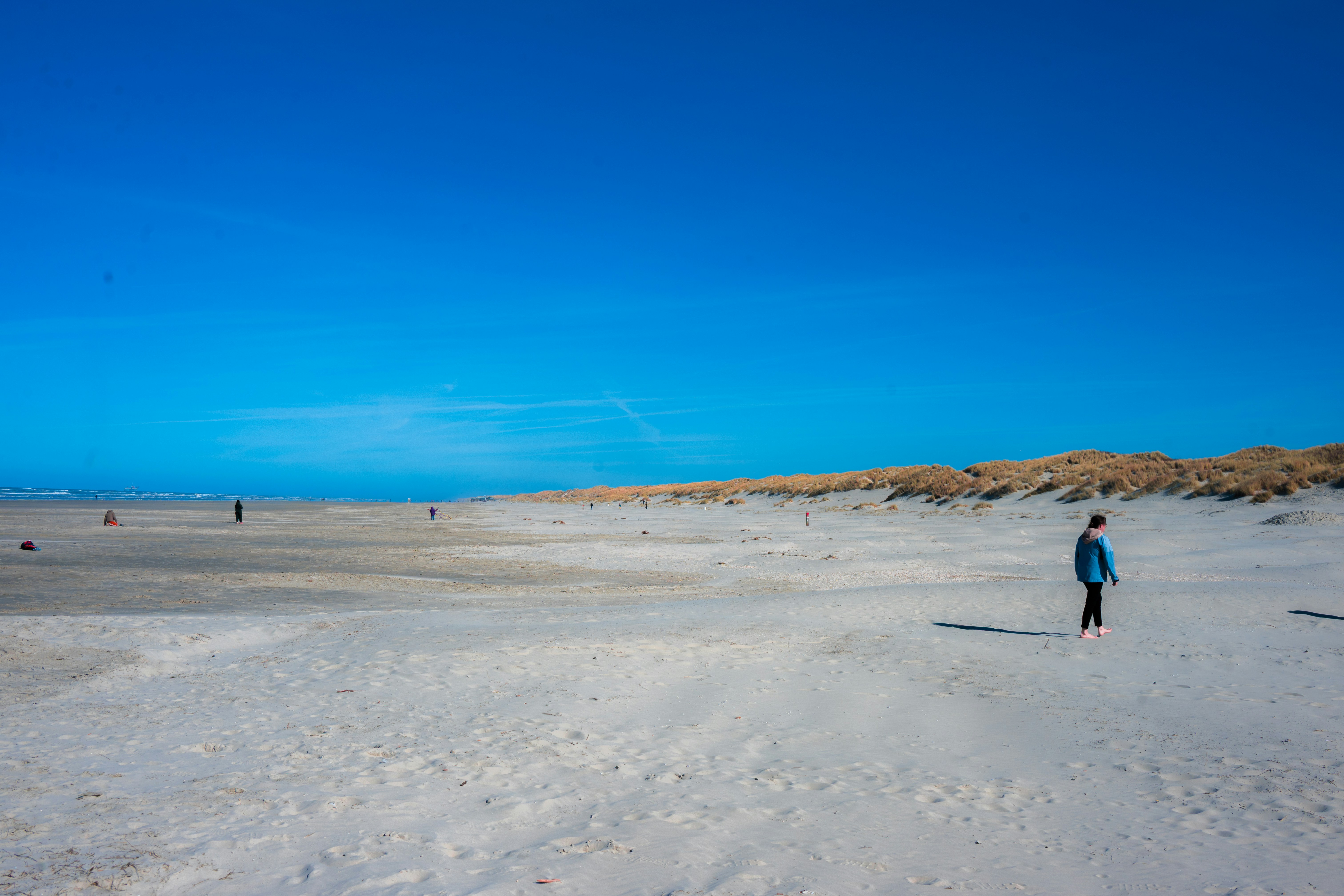 A person walks alone on a vast sandy beach.