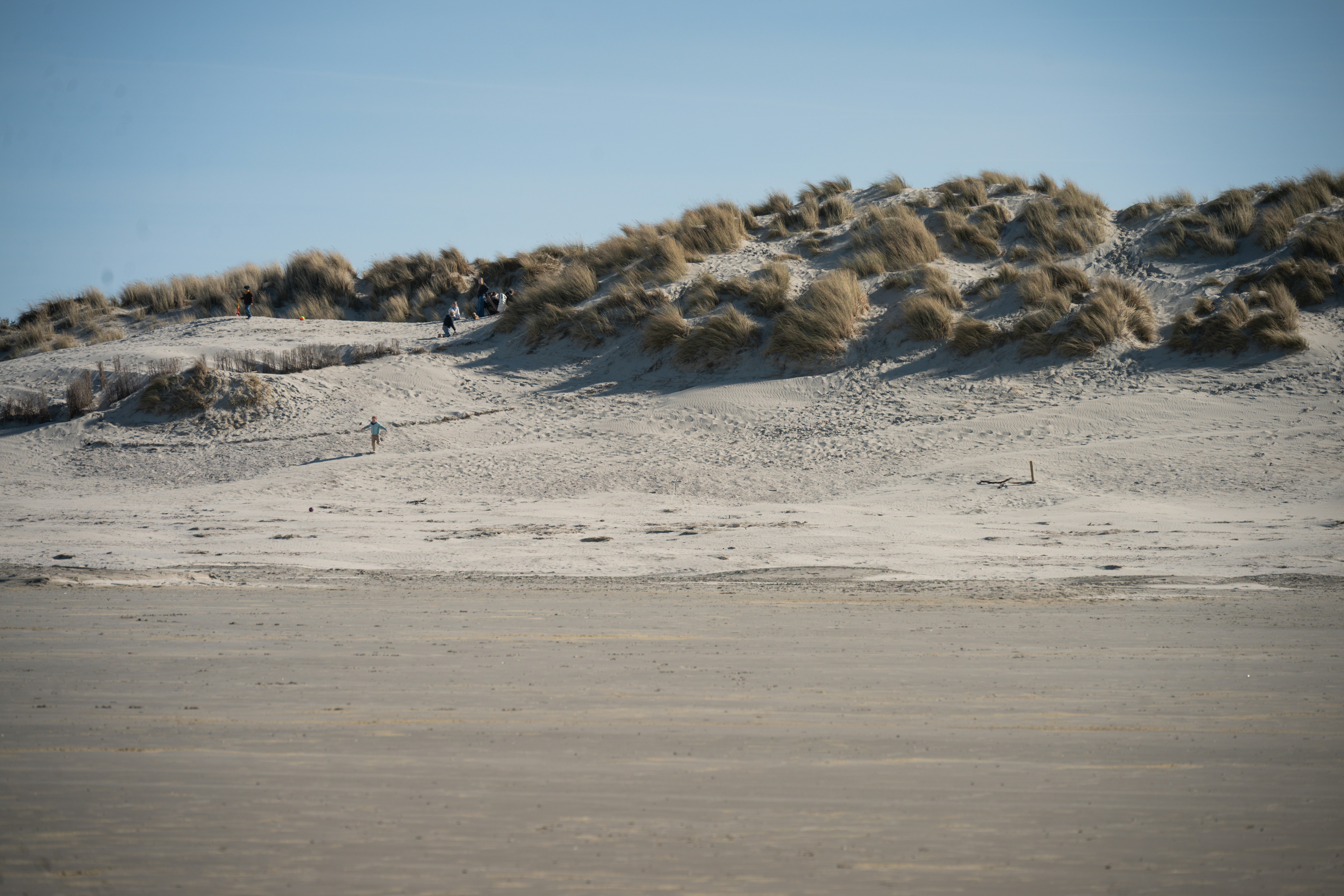 Sandy dunes with sparse grass under a clear blue sky.