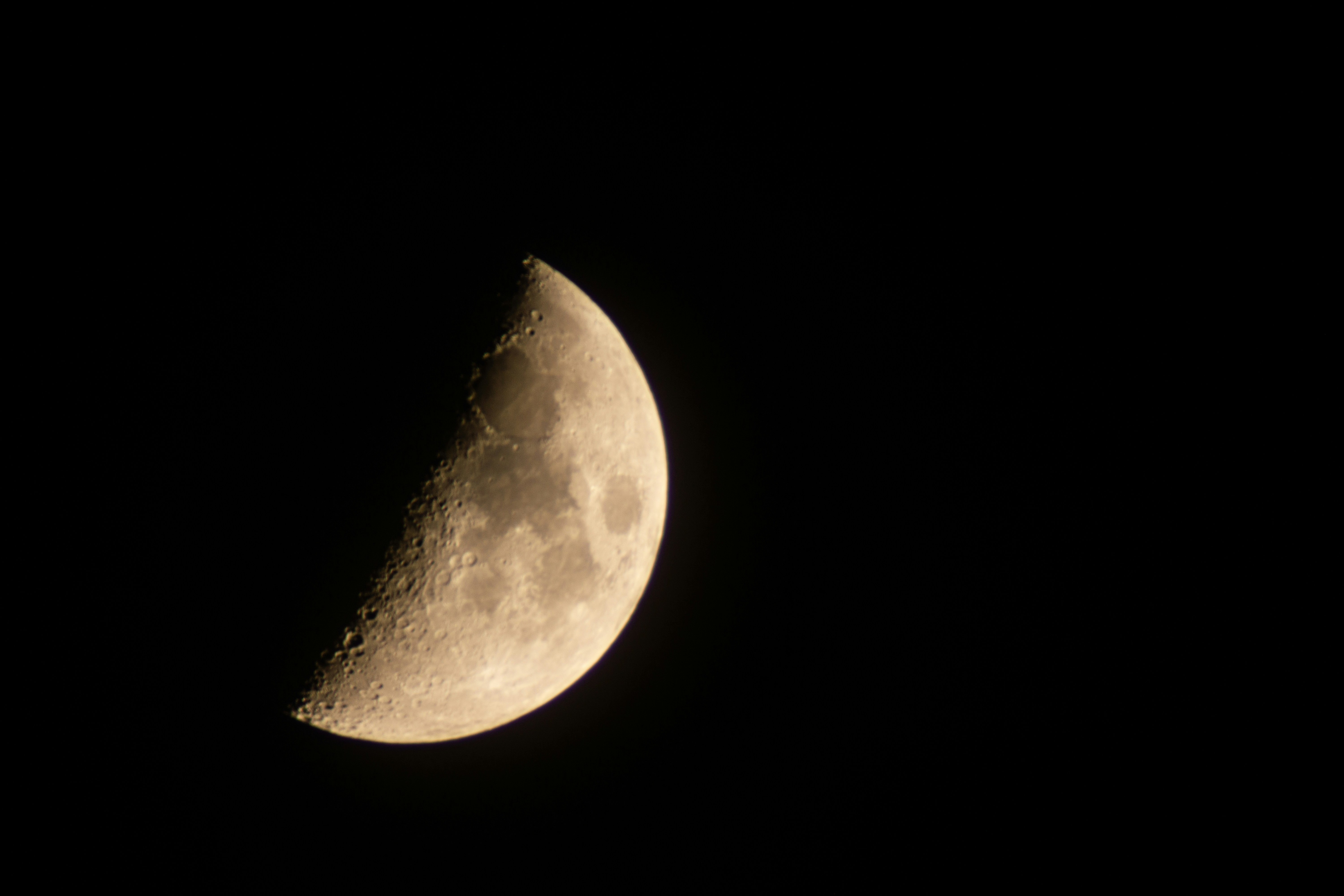 Photo by darnier