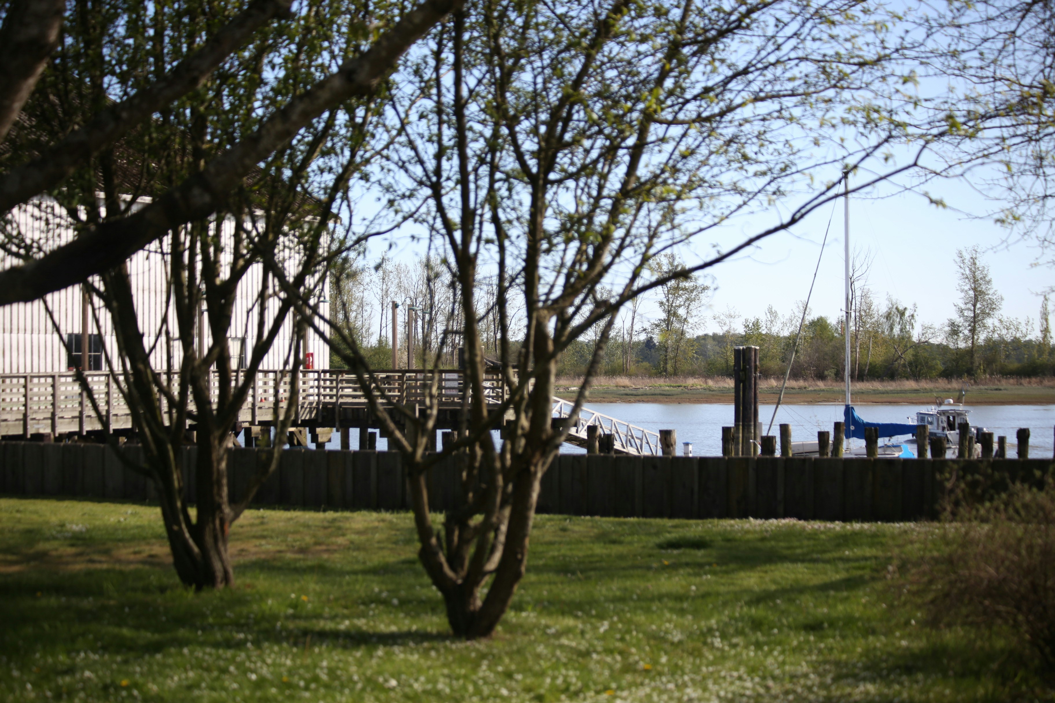 Boat docked at a pier next to a building.