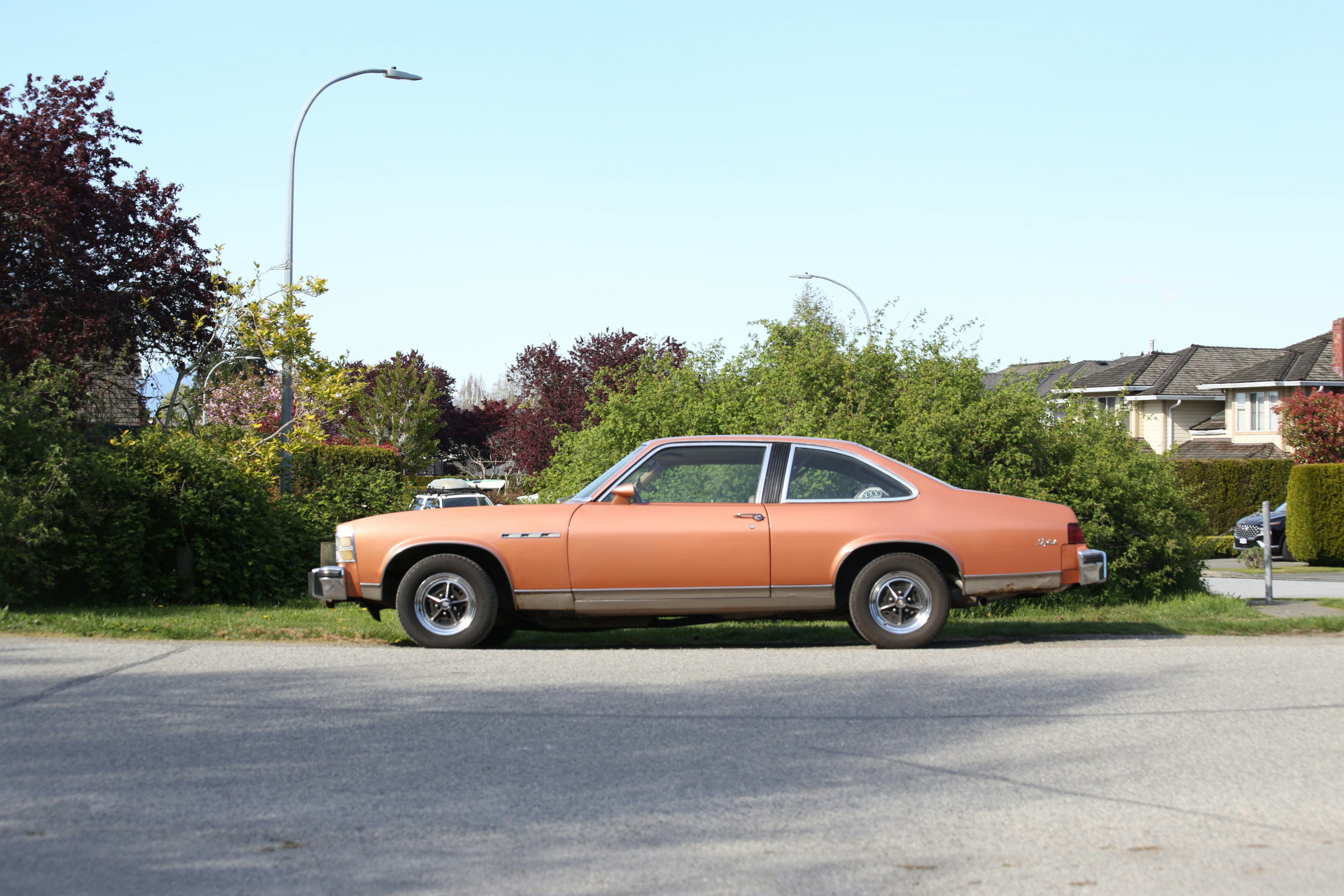 Orange vintage car parked on street with bushes