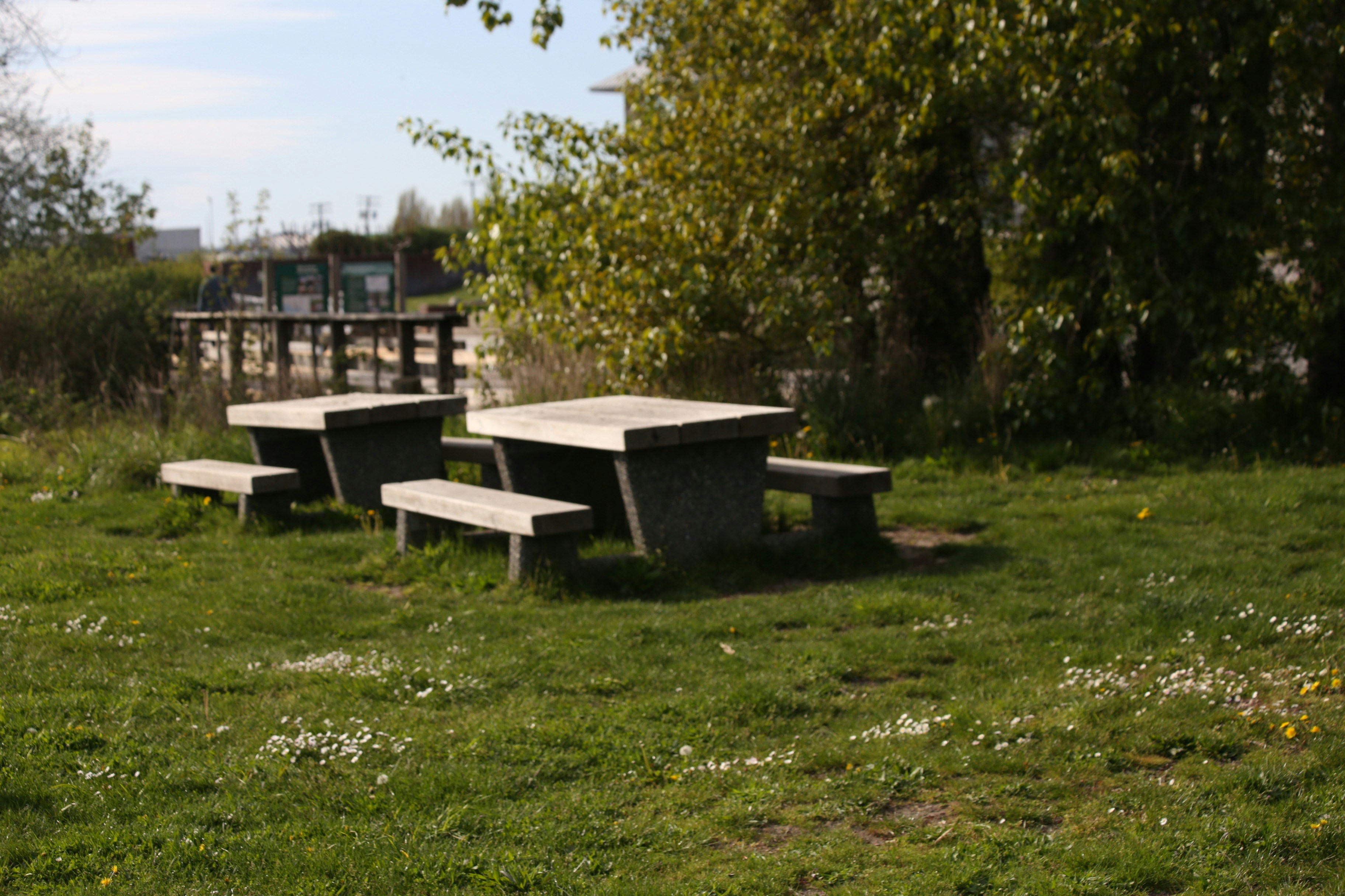 Concrete picnic tables sit on a grassy area.