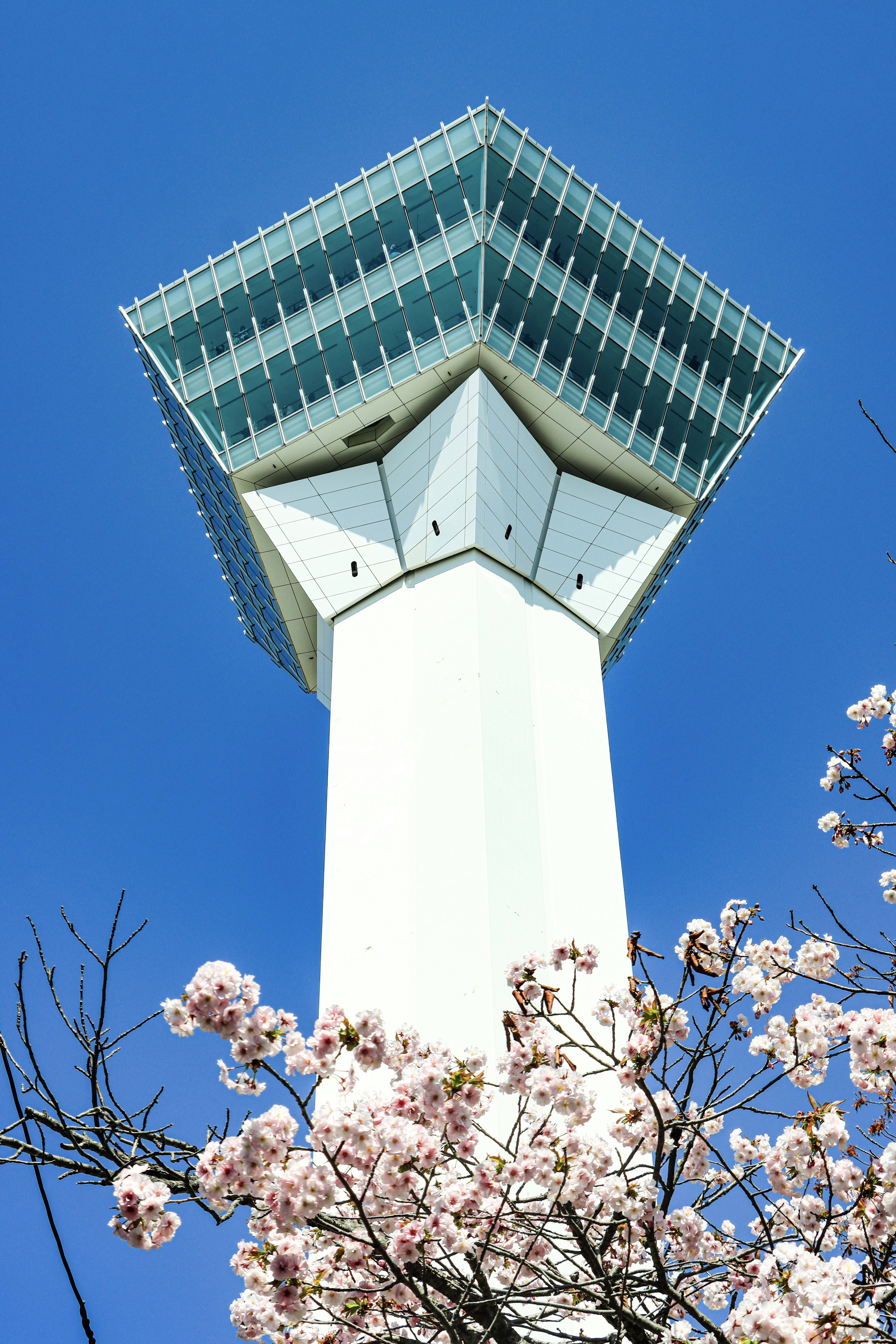 Looking up at Goryokaku Tower's observation deck framed by cherry blossoms