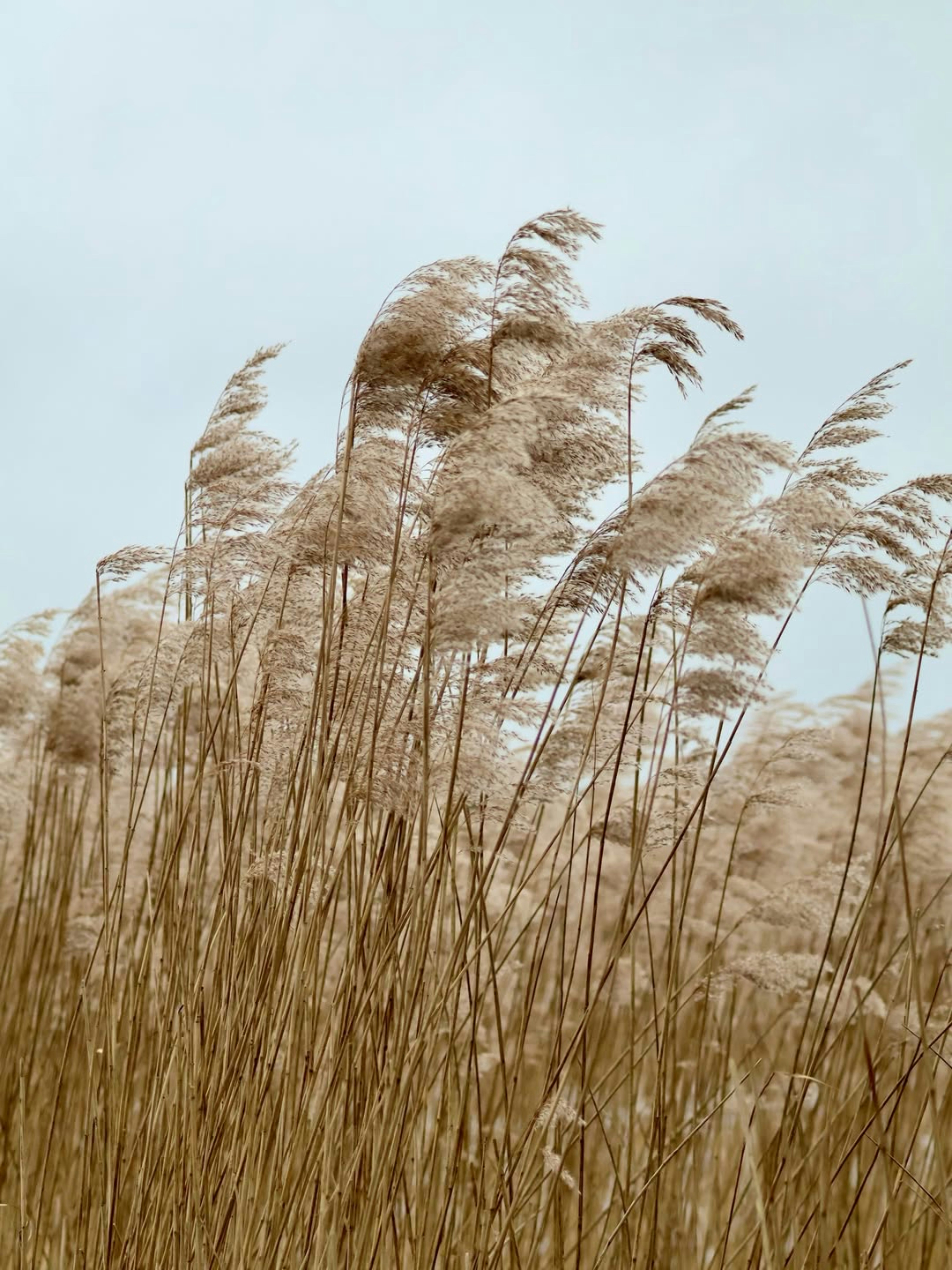Photo by tehzeebkazmi