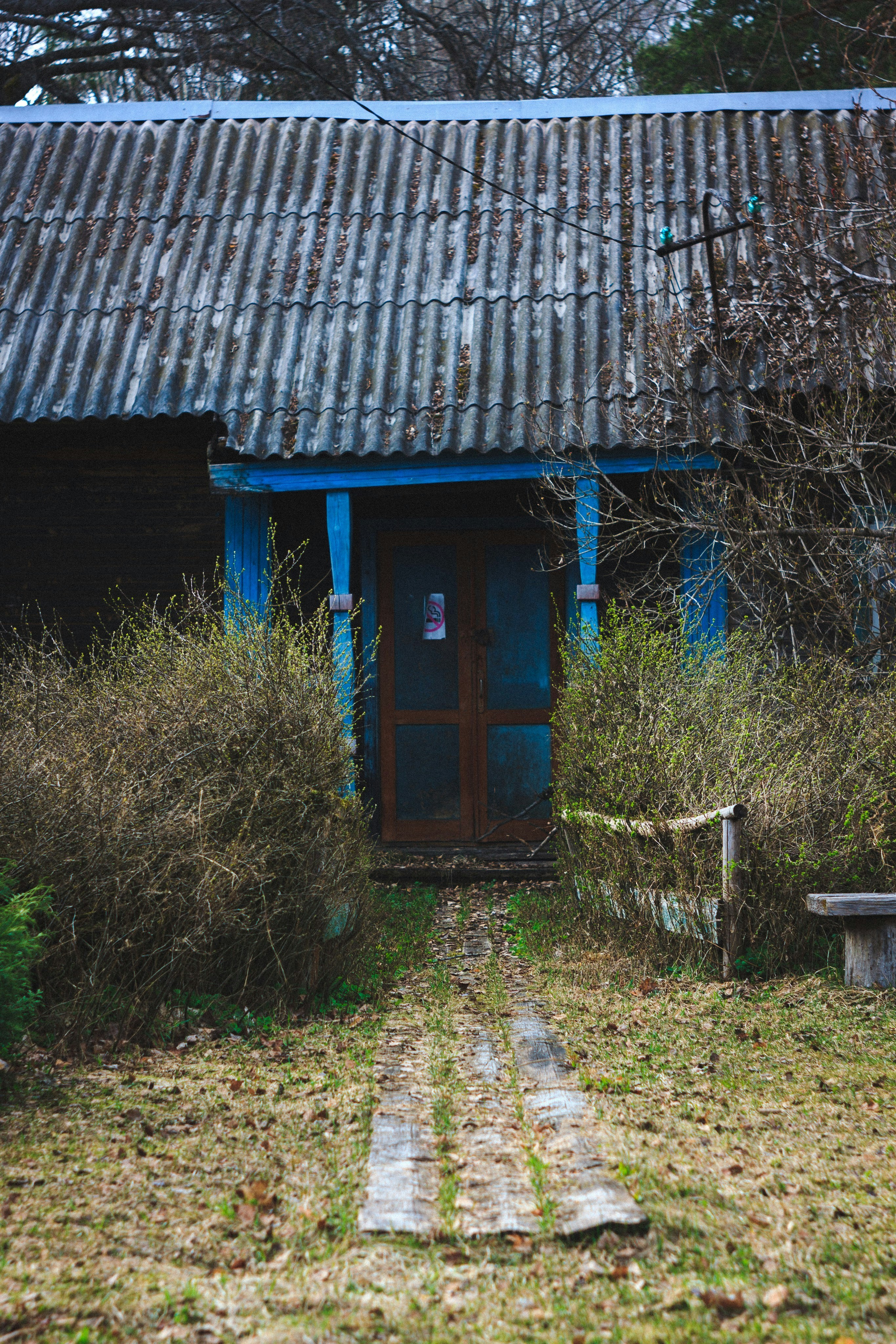 Photo by denmirov