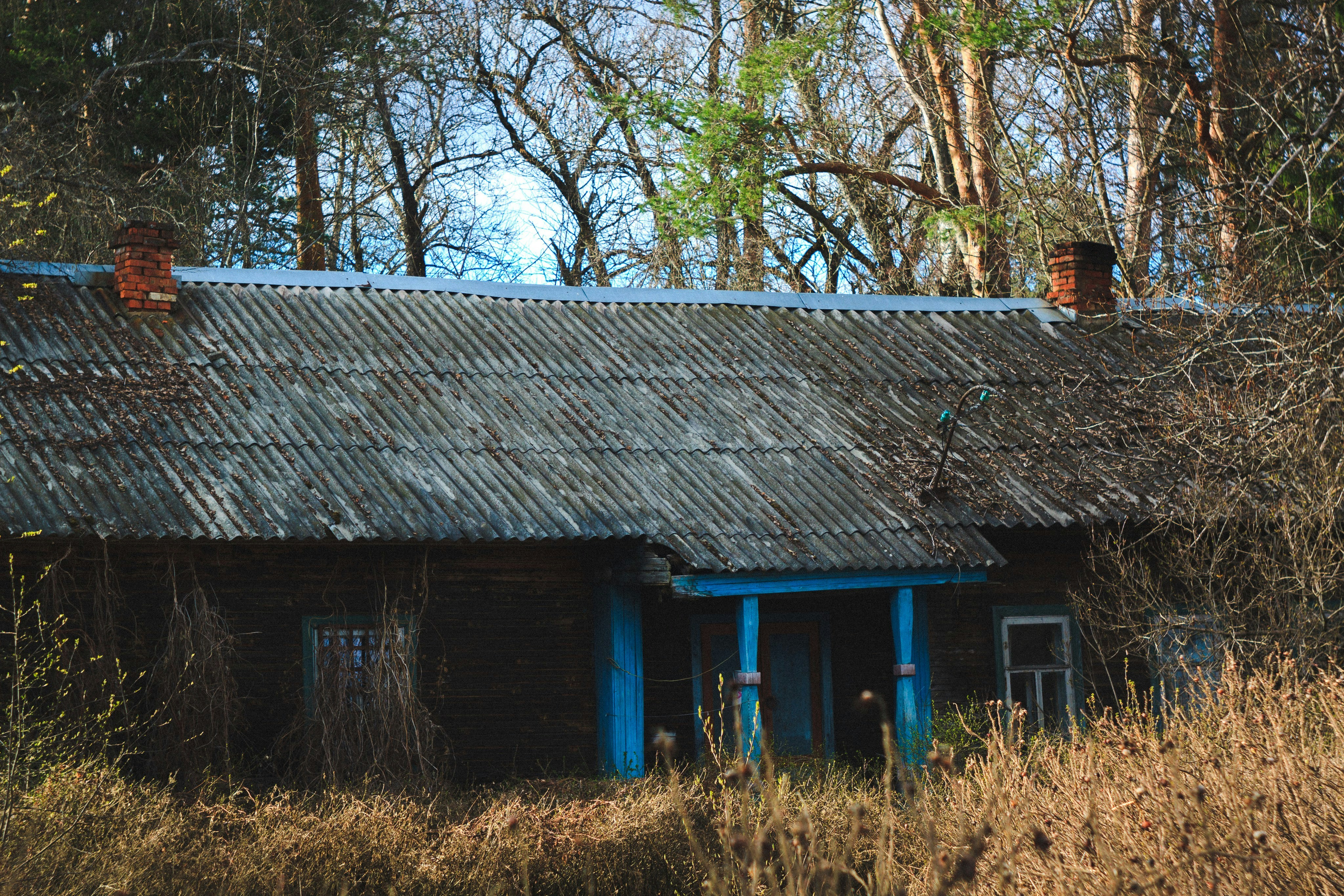 Photo by denmirov