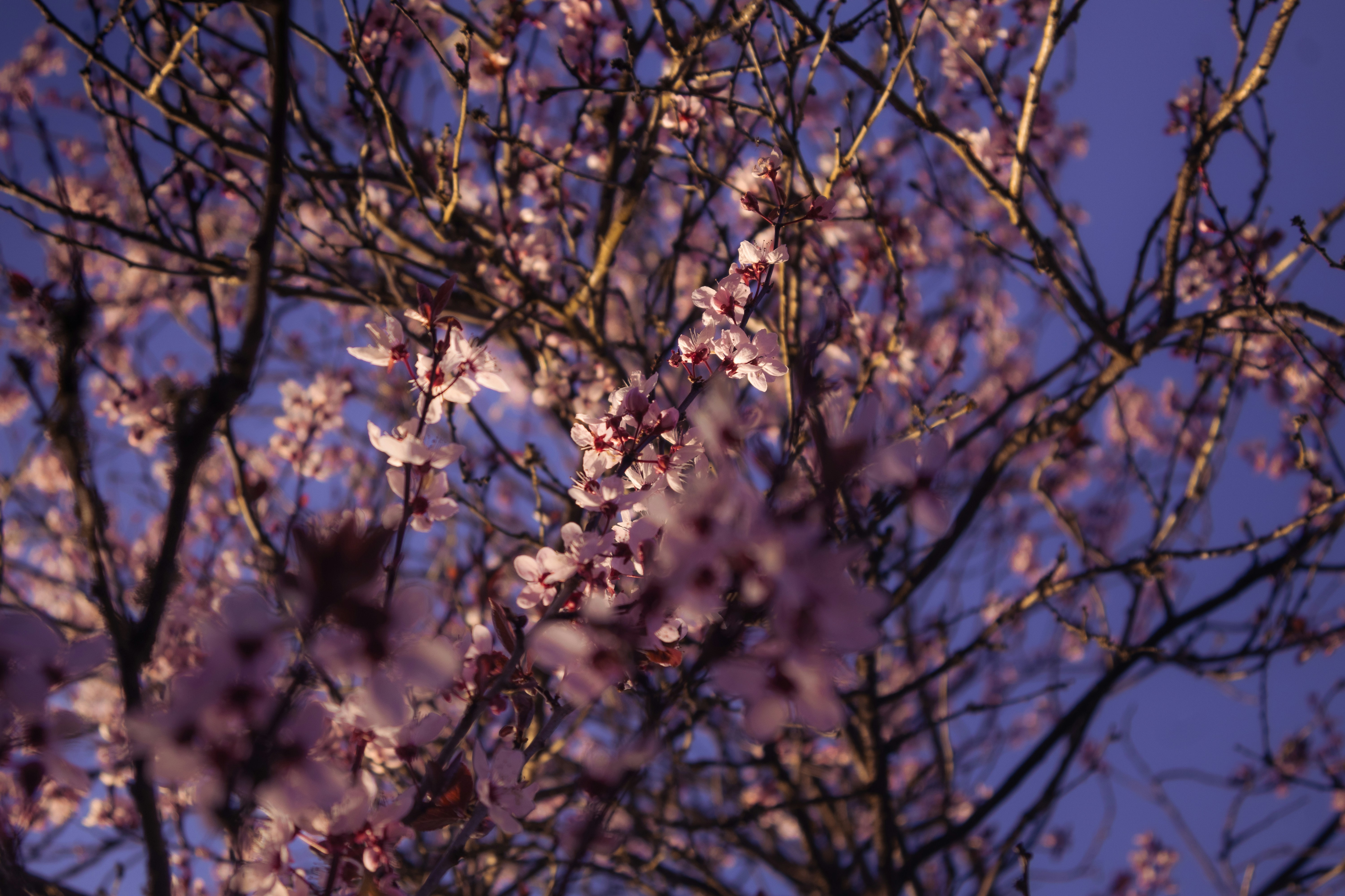 Photo by yunghollows