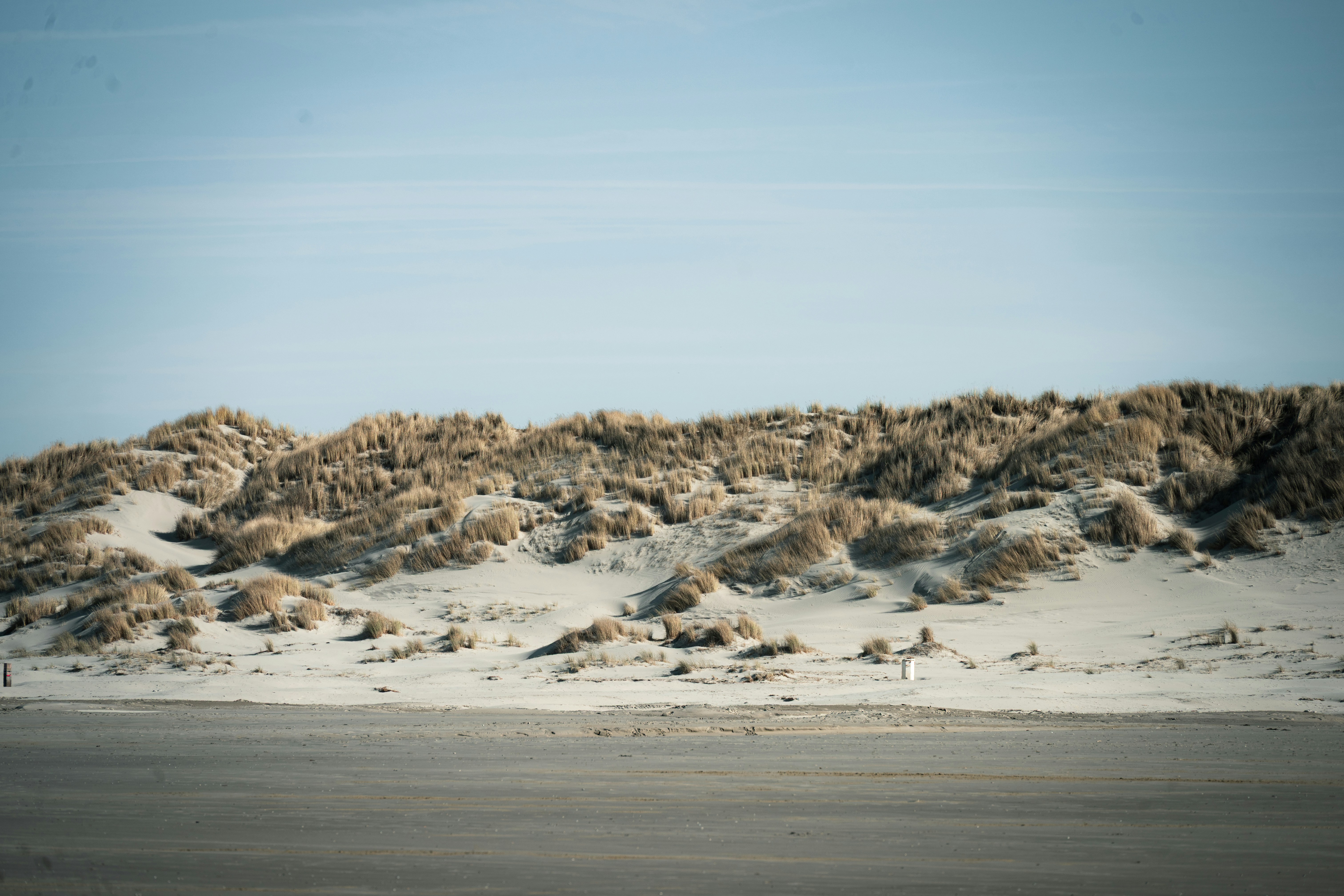 Des dunes de sable recouvertes d’herbe sèche sous un ciel dégagé