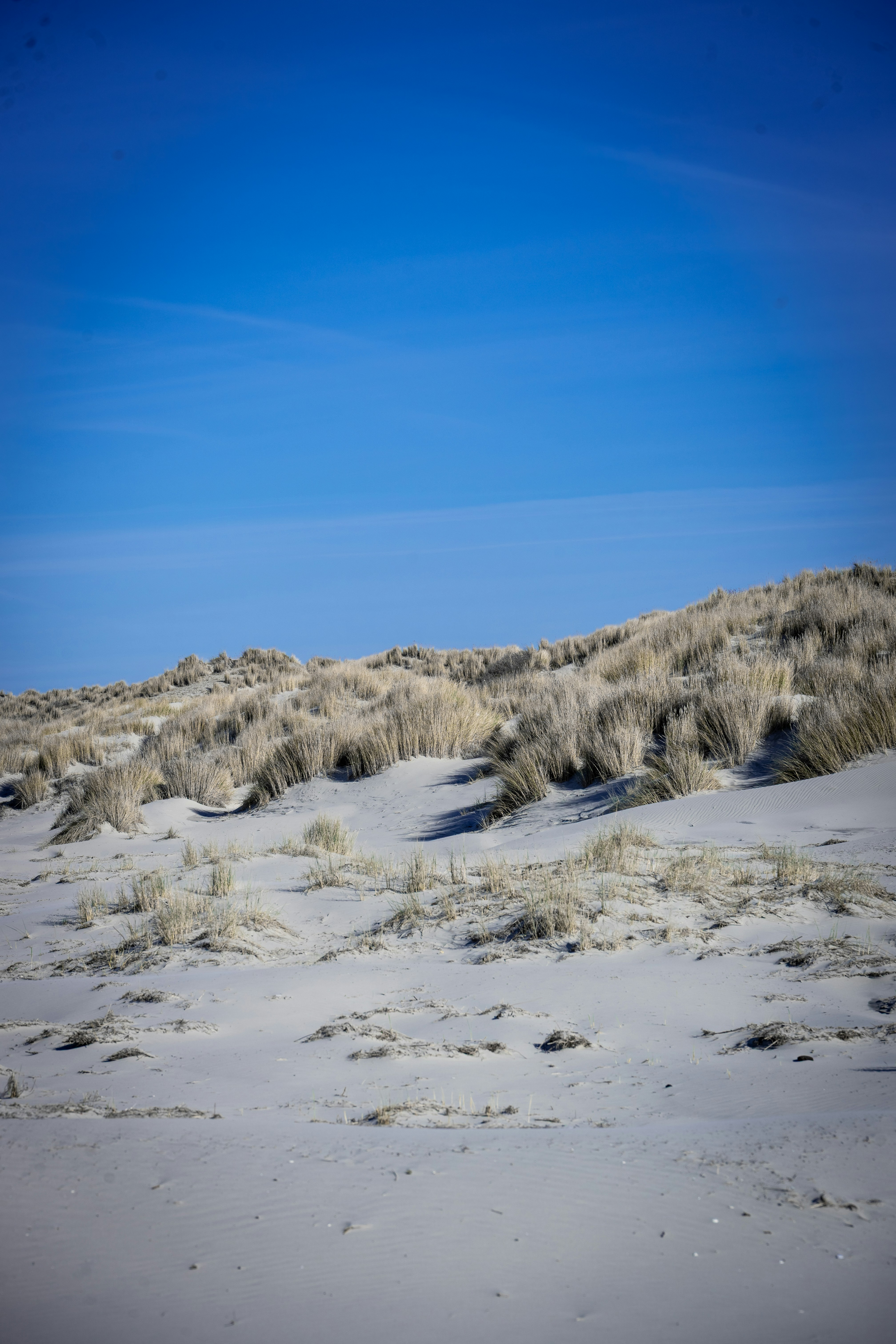 Sandy dunes with dry grass under a clear blue sky.