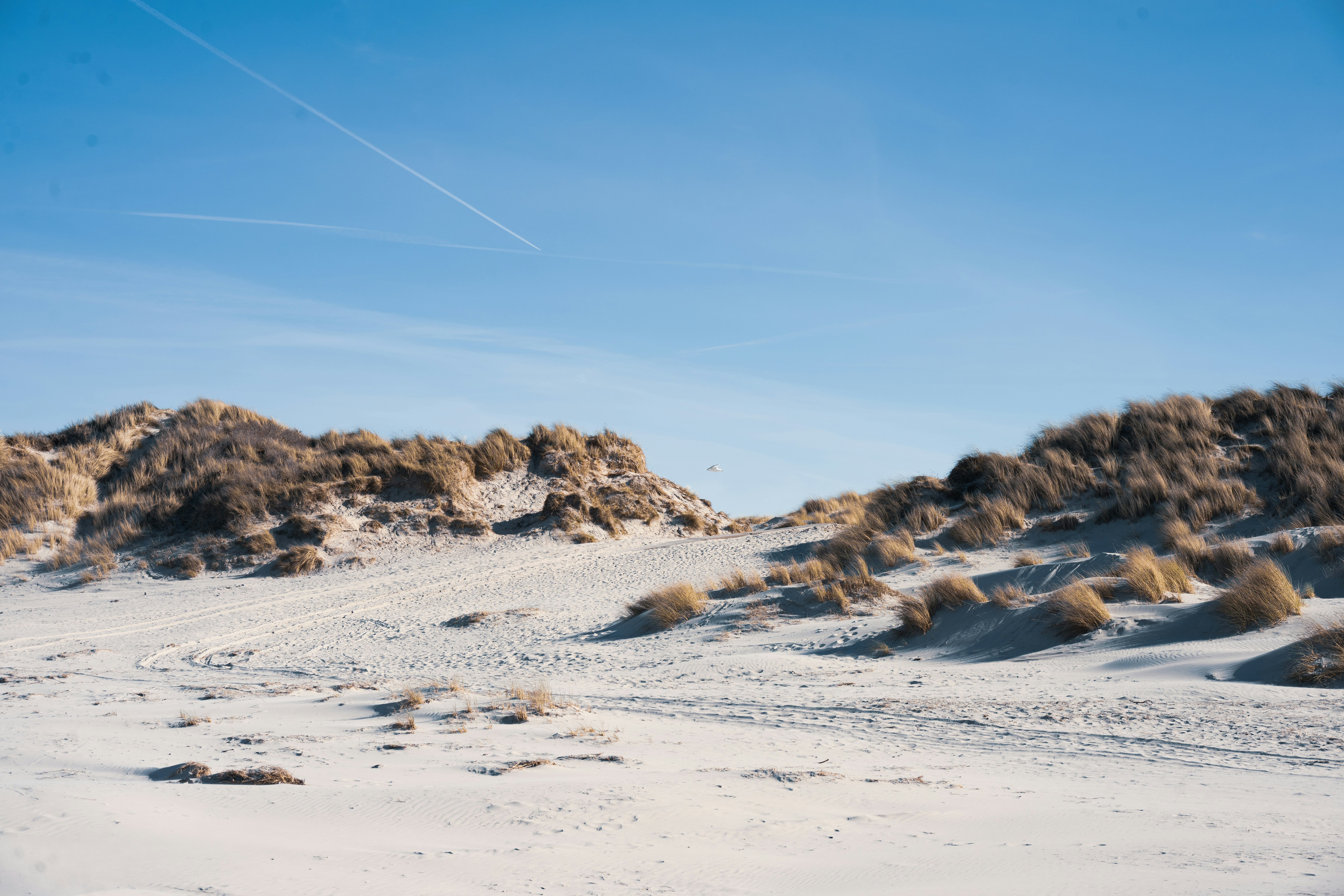 Sandy dunes with dry grass under a clear blue sky