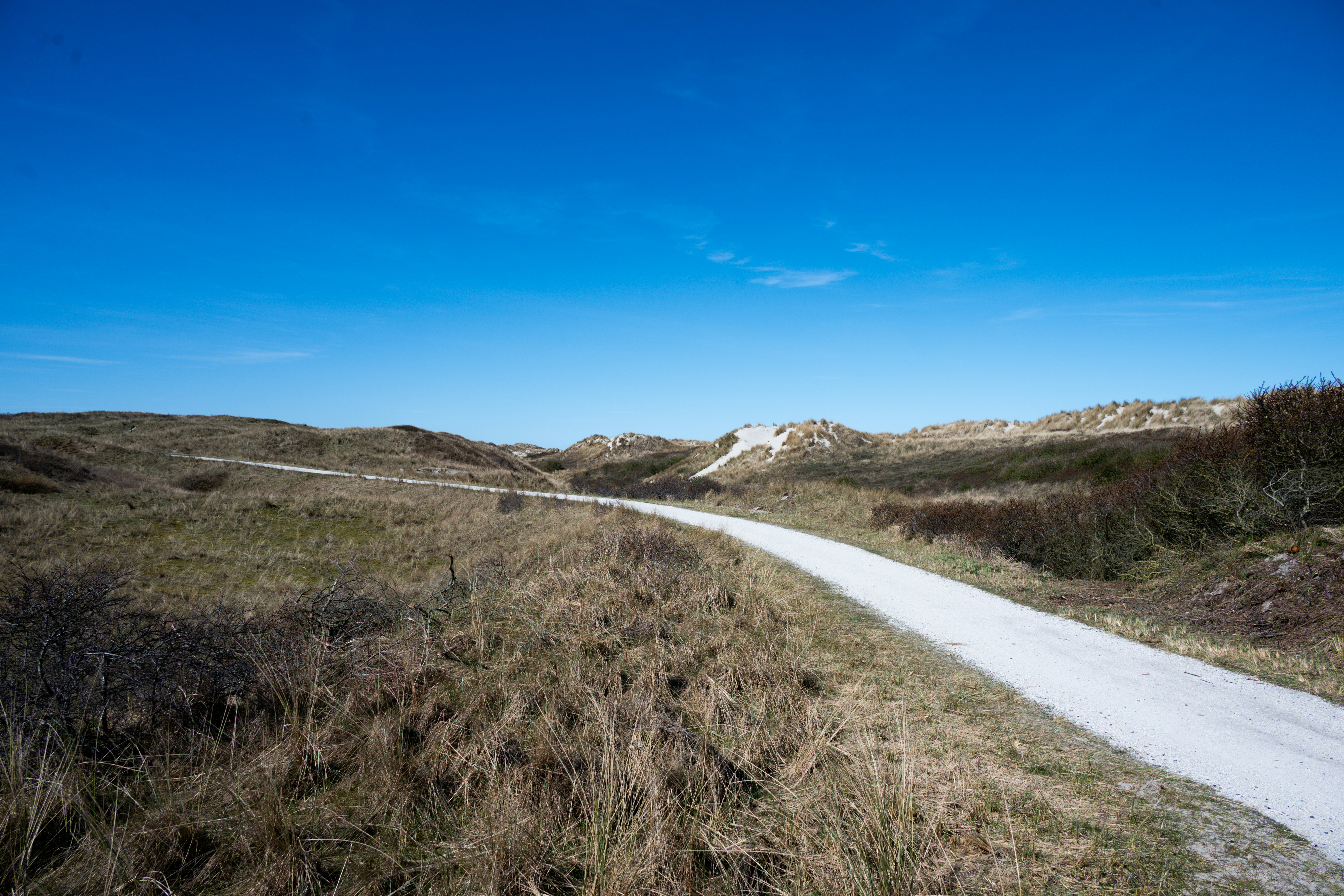 Photo by justmejuliee