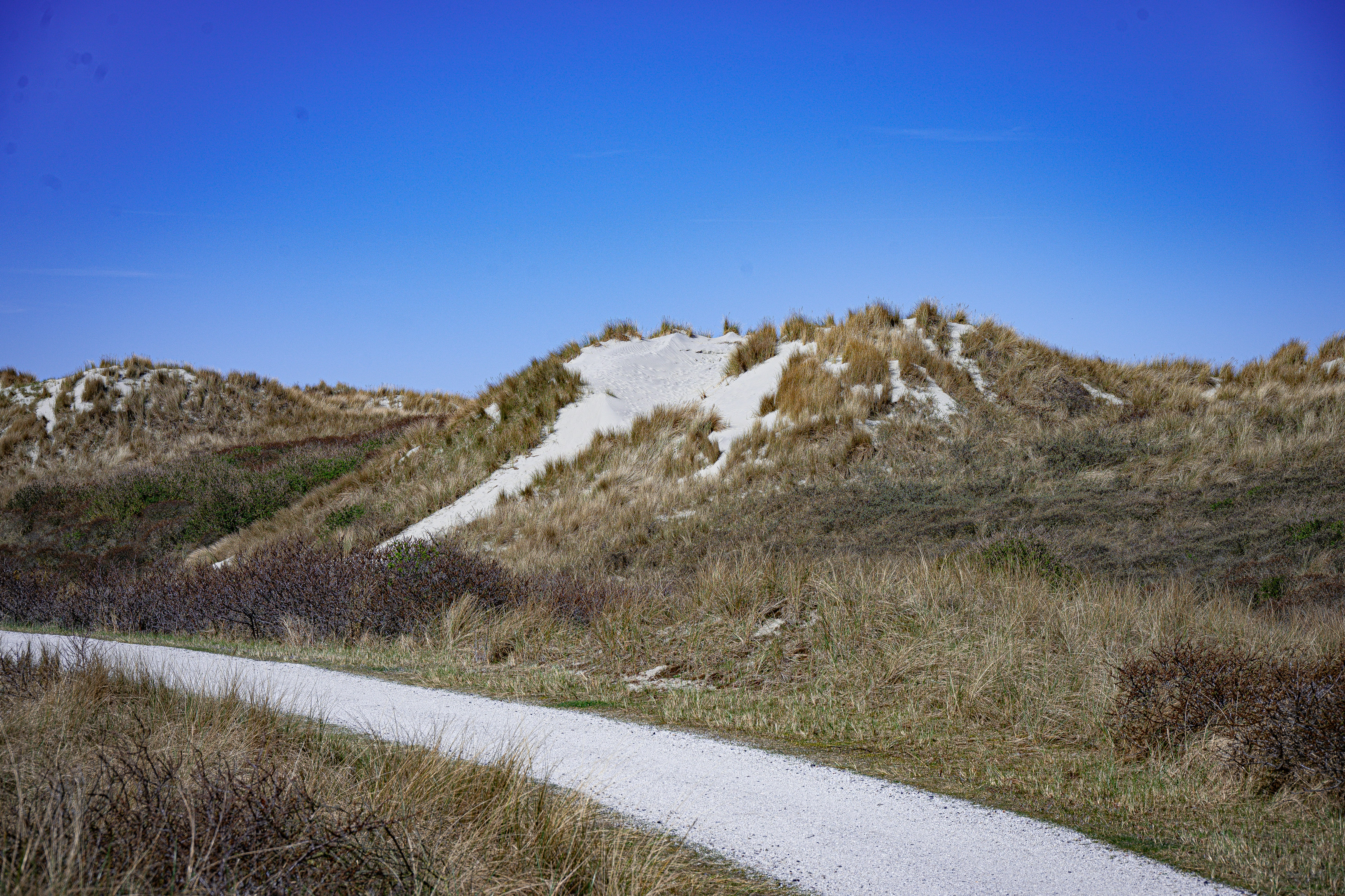 Sandy dunes with dry grass under a clear blue sky